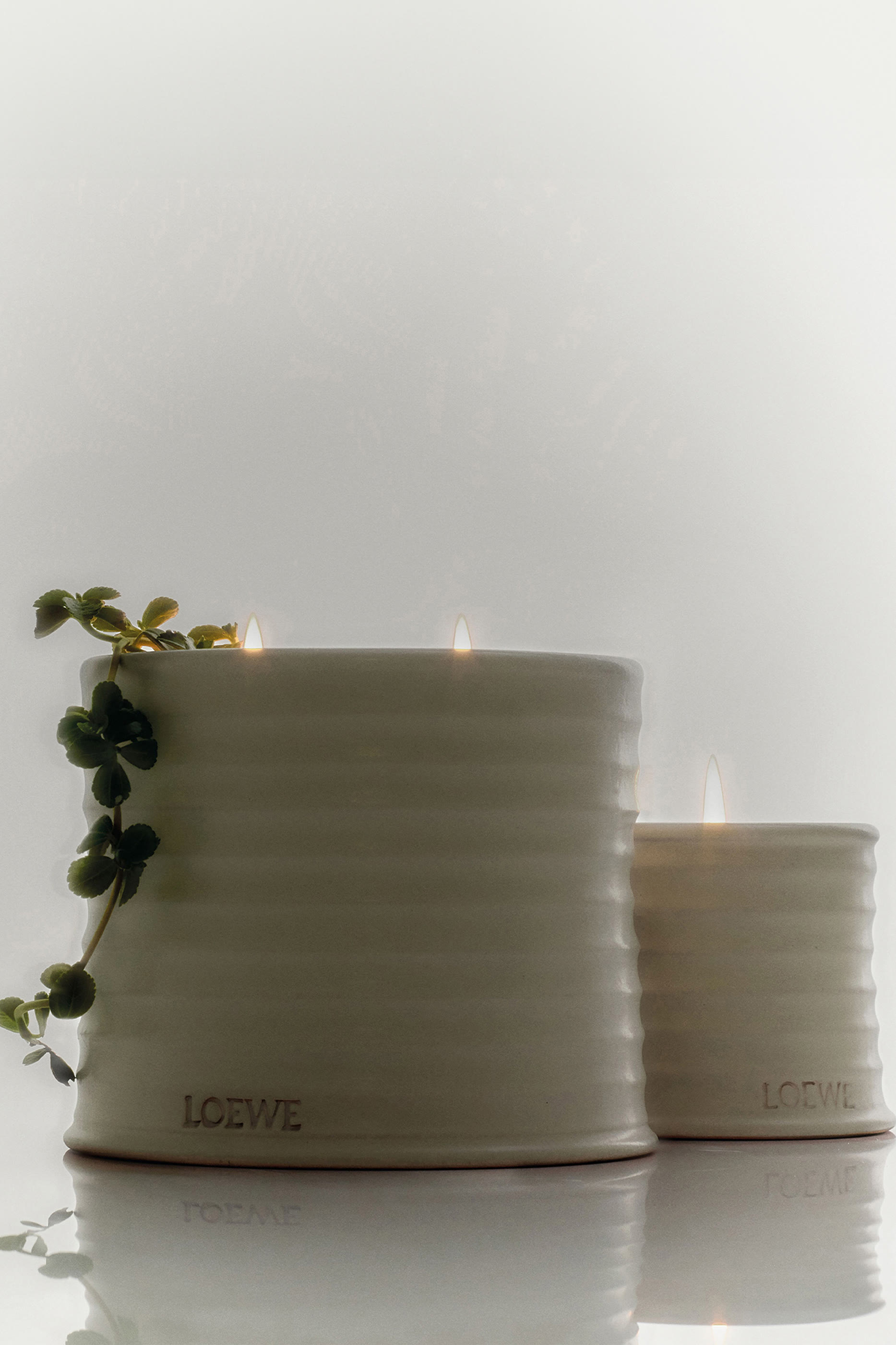 Oregano Scented Candle 5