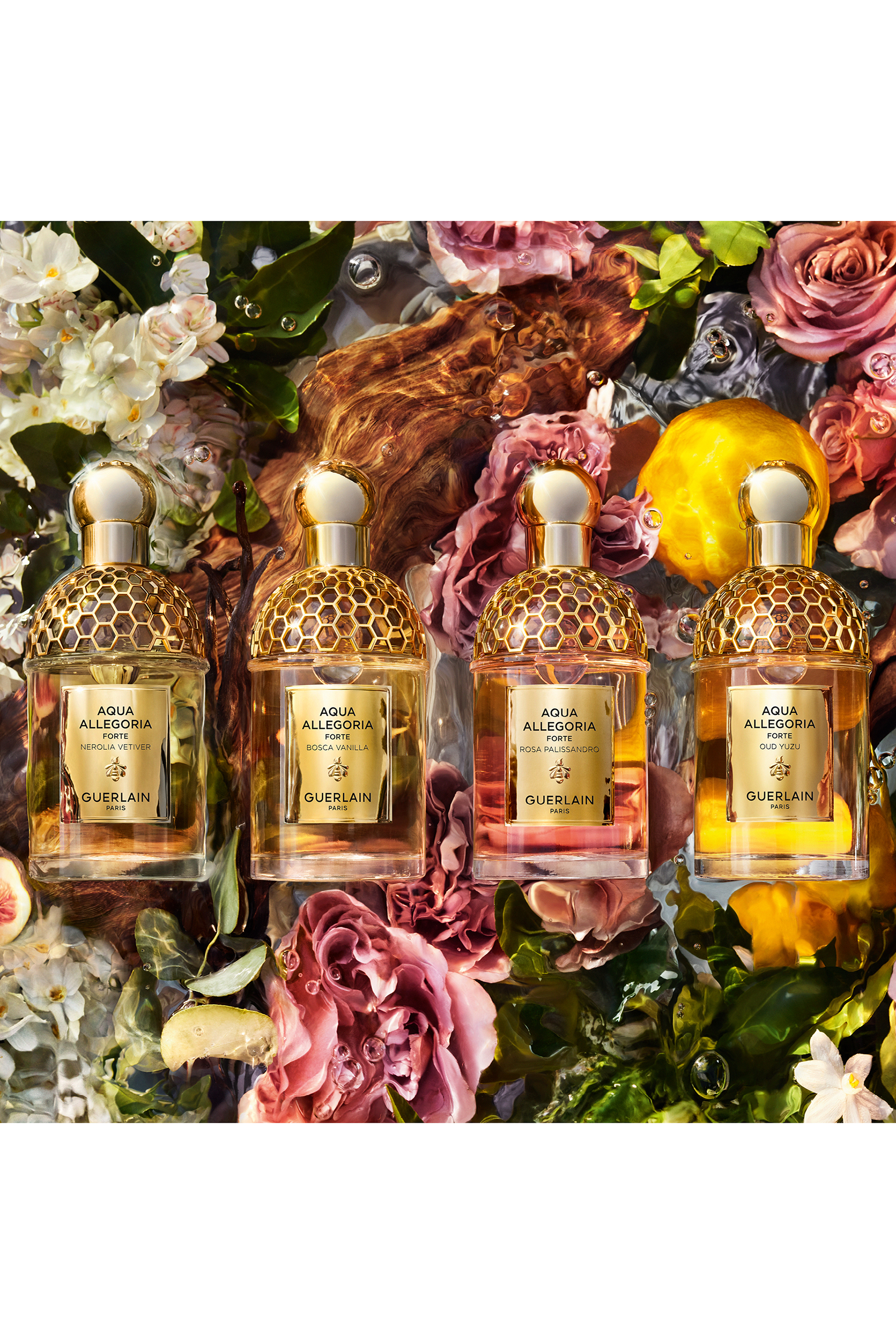 Aqua Allegoria Forte Bosca Vanilla Eau de Parfum 7