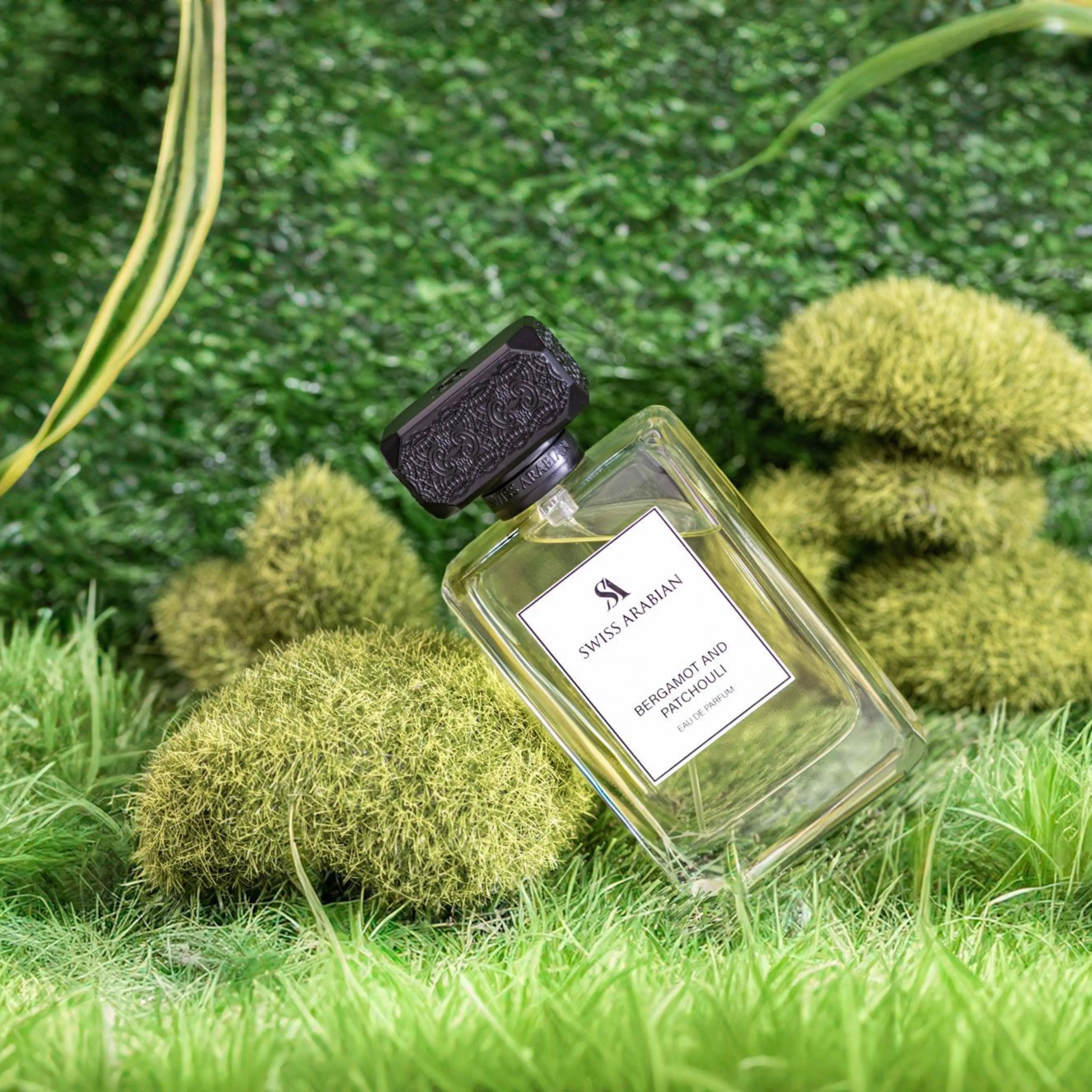 Bergamot And Patchouli 6