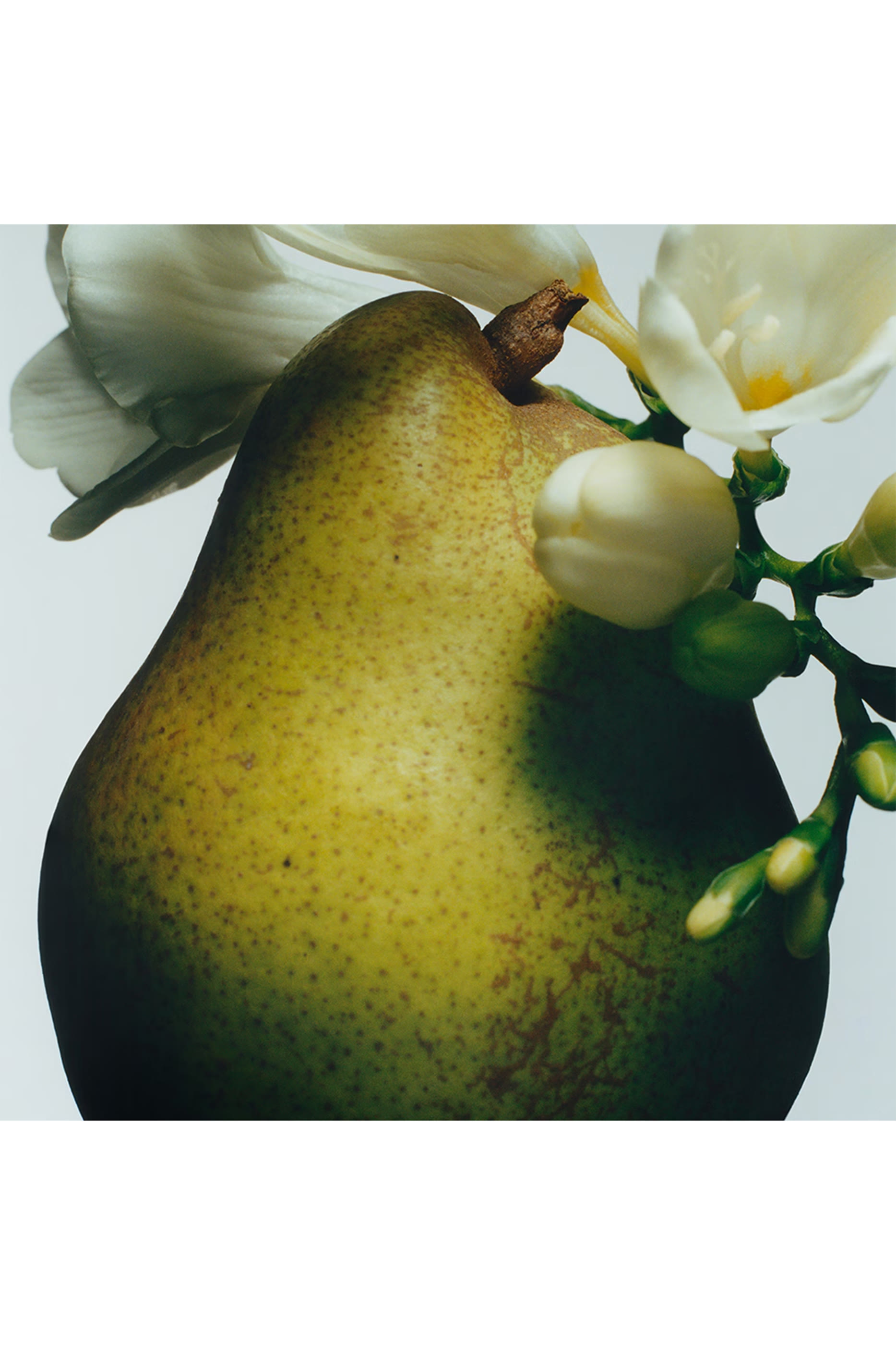 English Pear and Freesia Scent Surround™ Diffuser 3