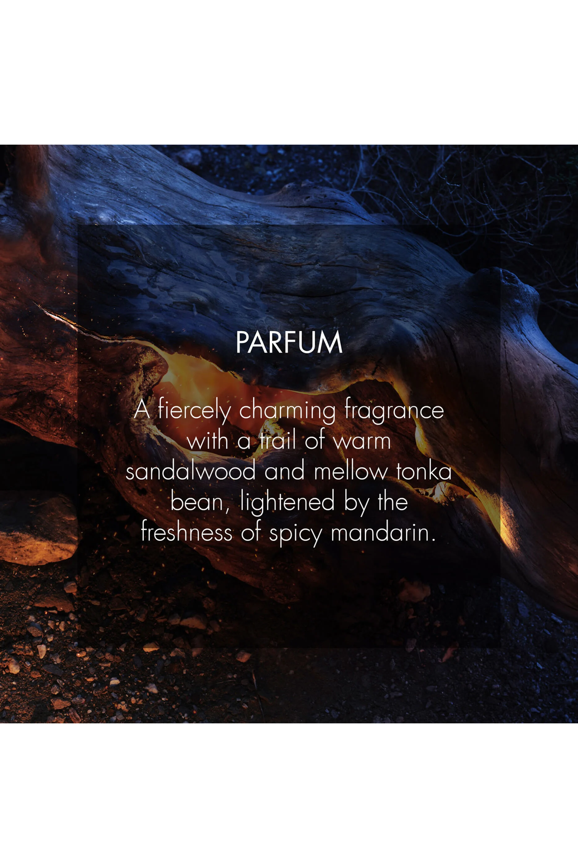 Sauvage Parfum 2