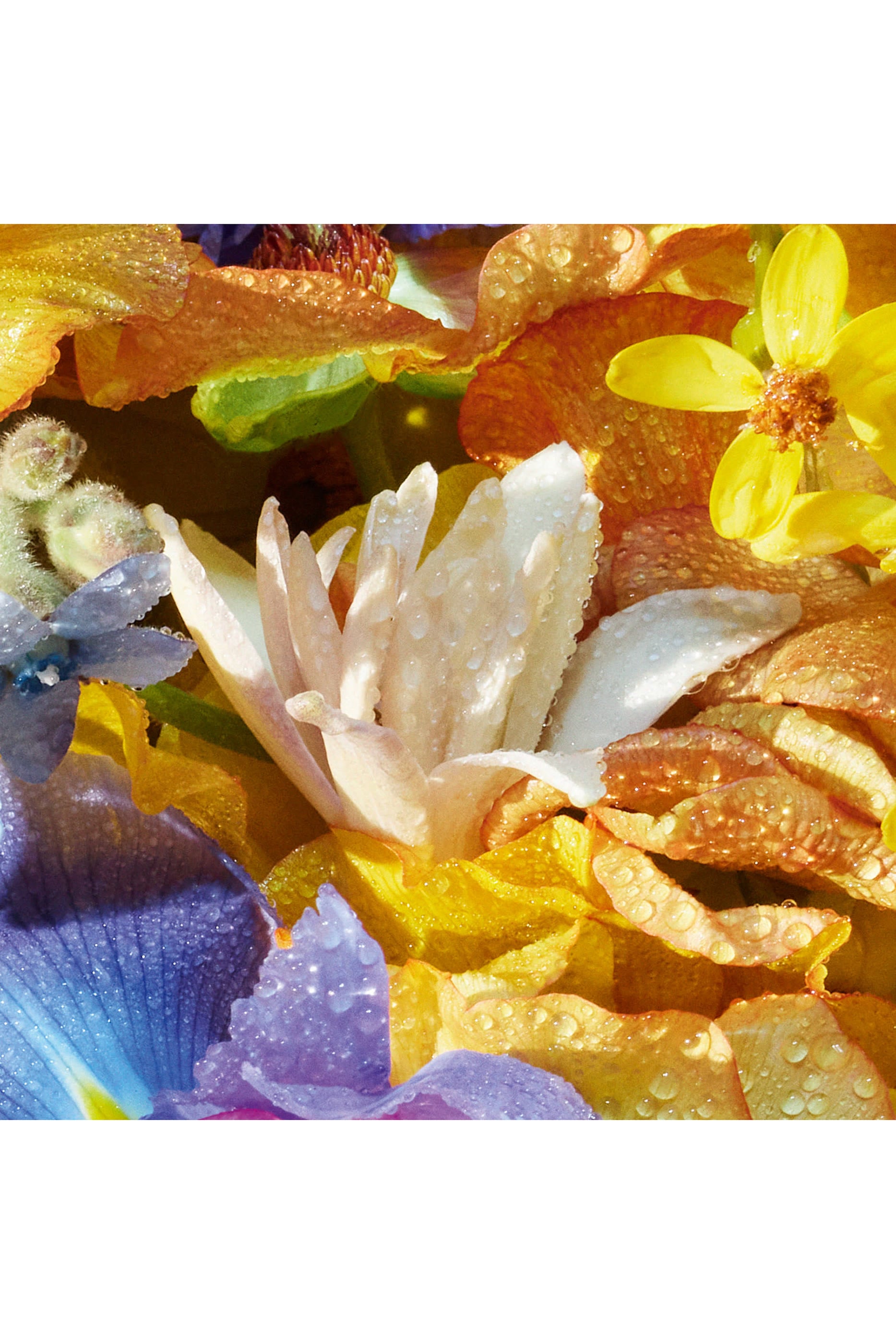 Aqua Allegoria Florabloom Eau de Toilette 4