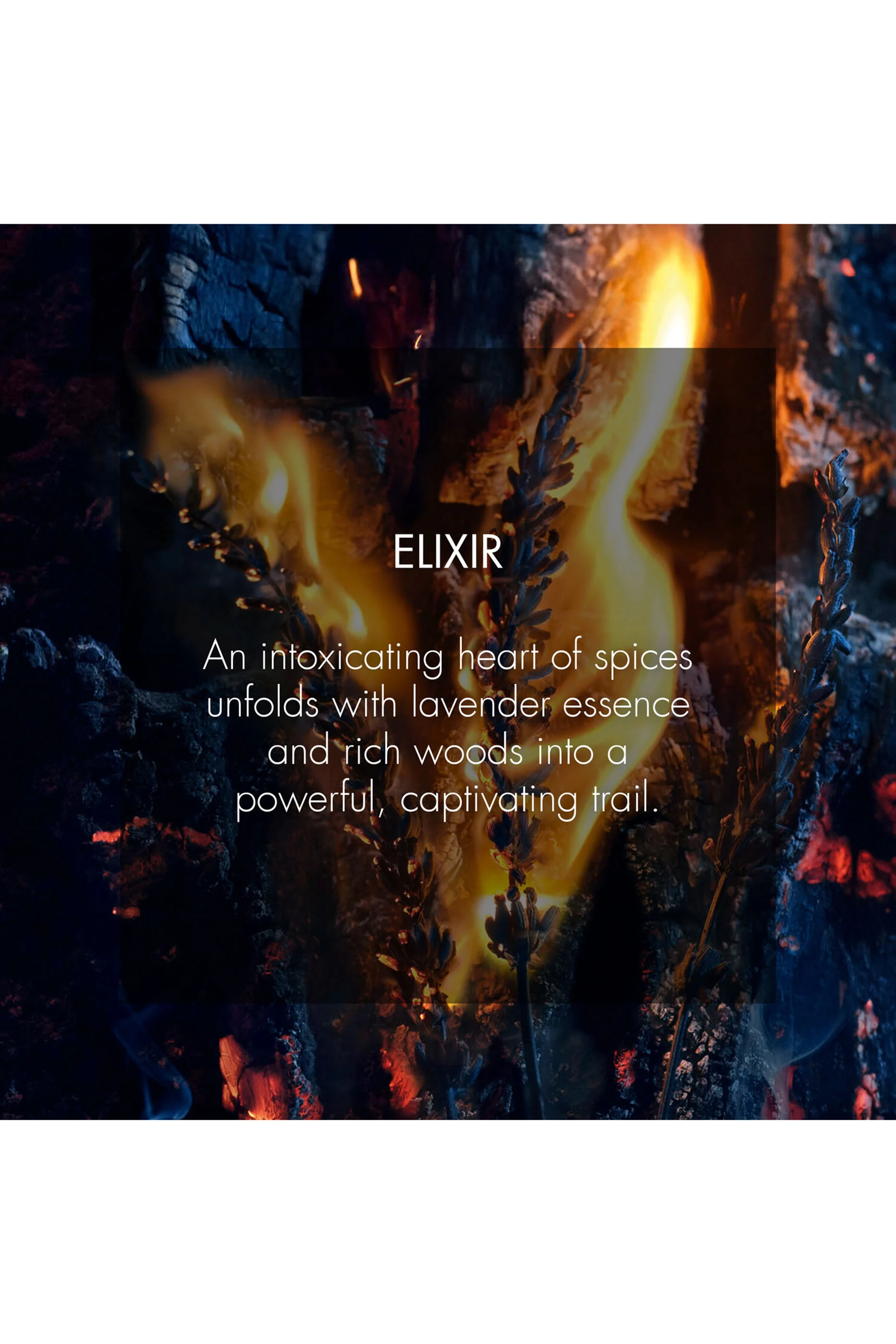 Sauvage Elixir Spray 2