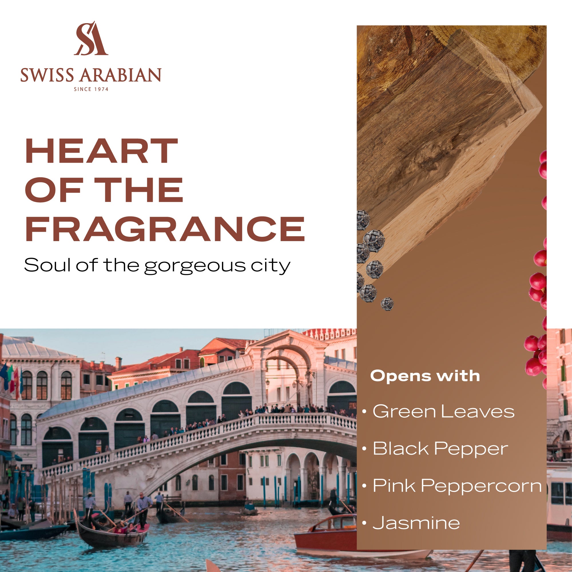 Passion Of Venice 5