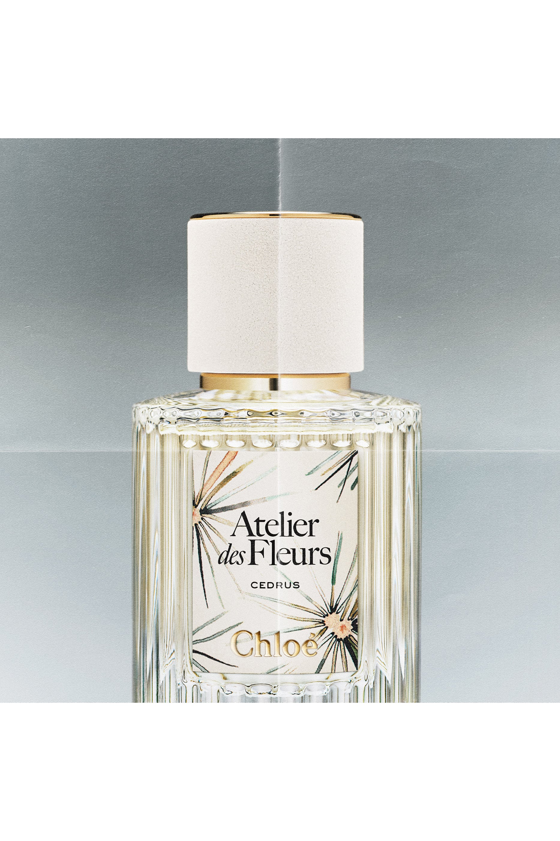 Atelier des Fleurs Cedrus Limited Edition Eau de Parfum 3