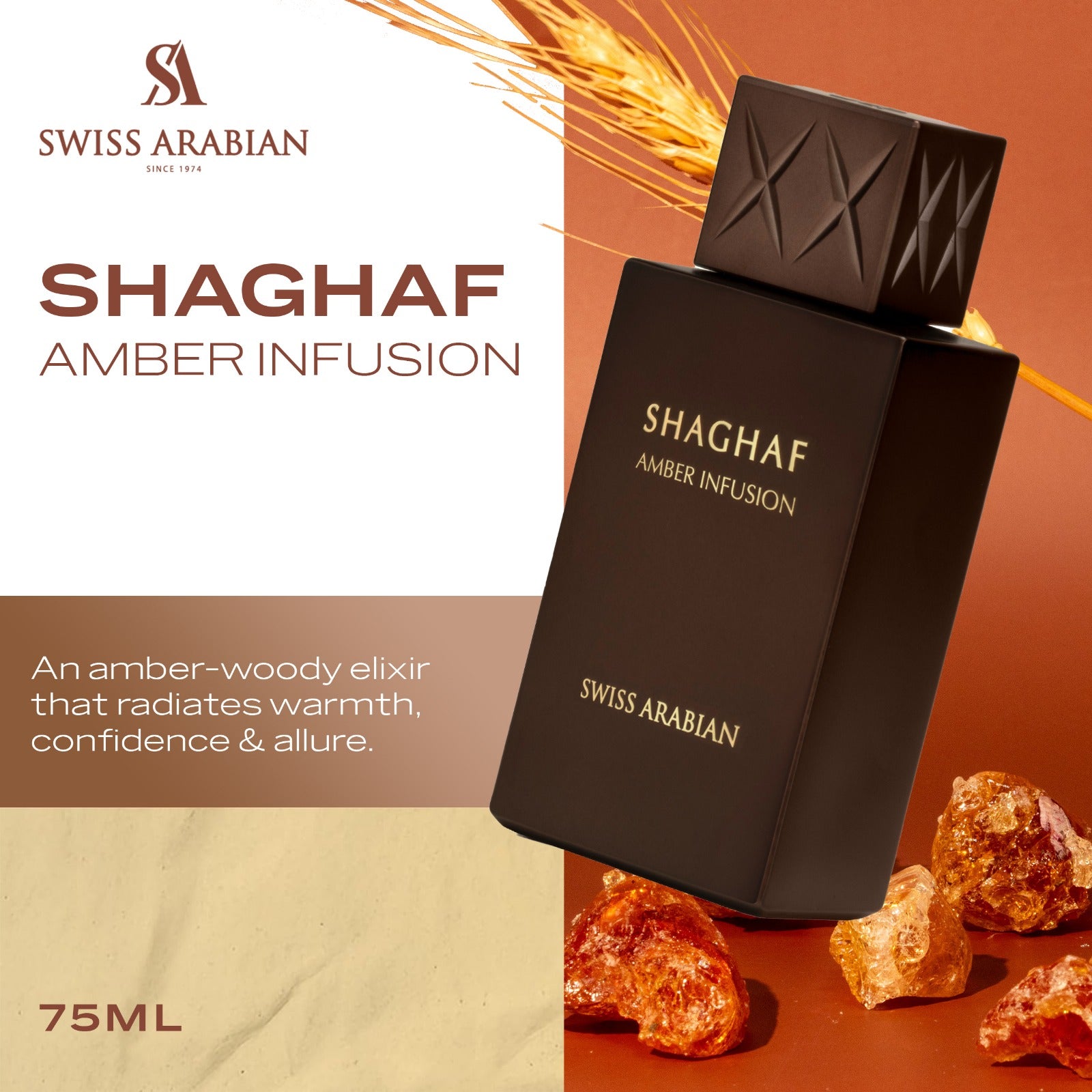 Shaghaf Amber Infusion 3