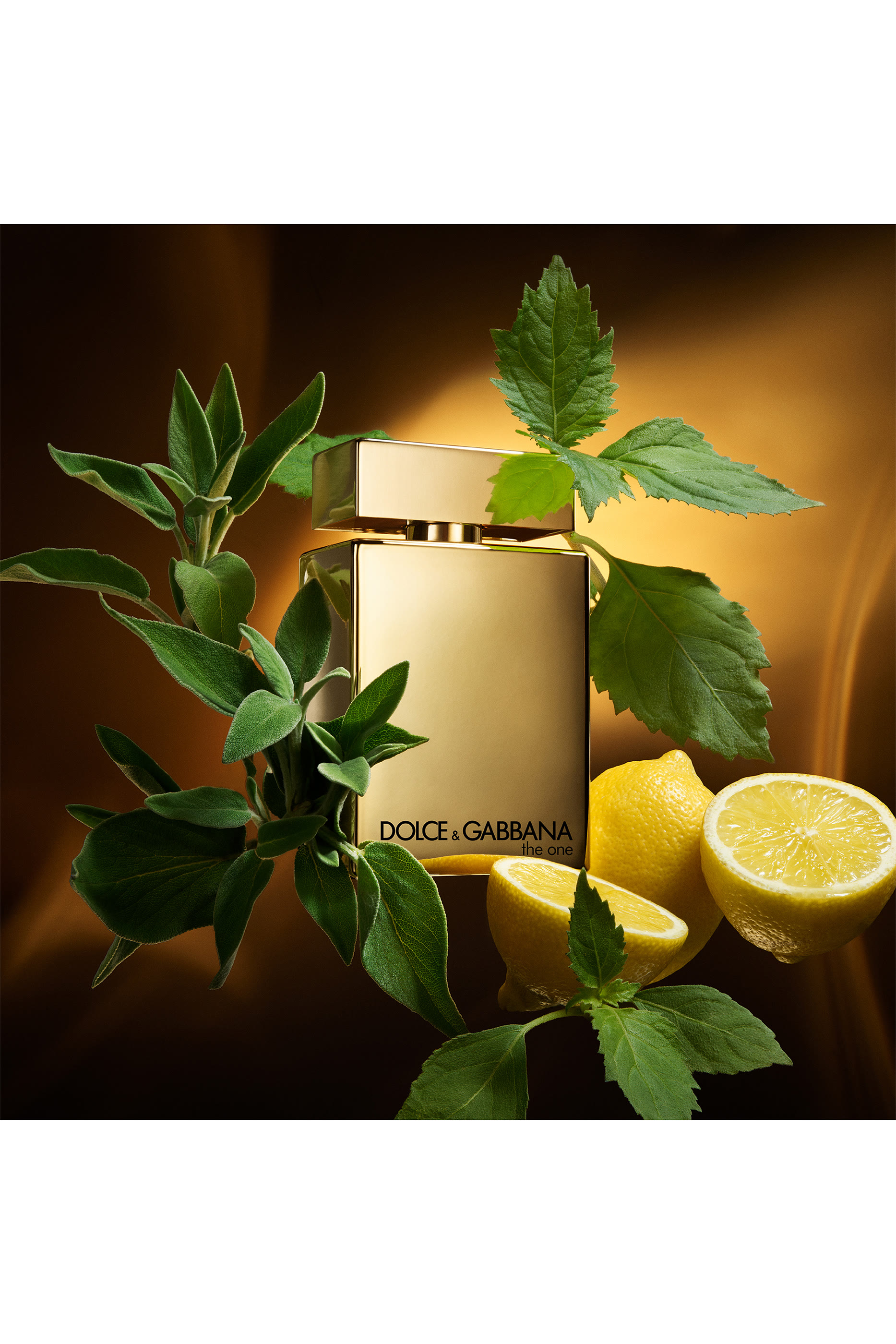 The One for Men Gold Eau de Parfum Intense 3