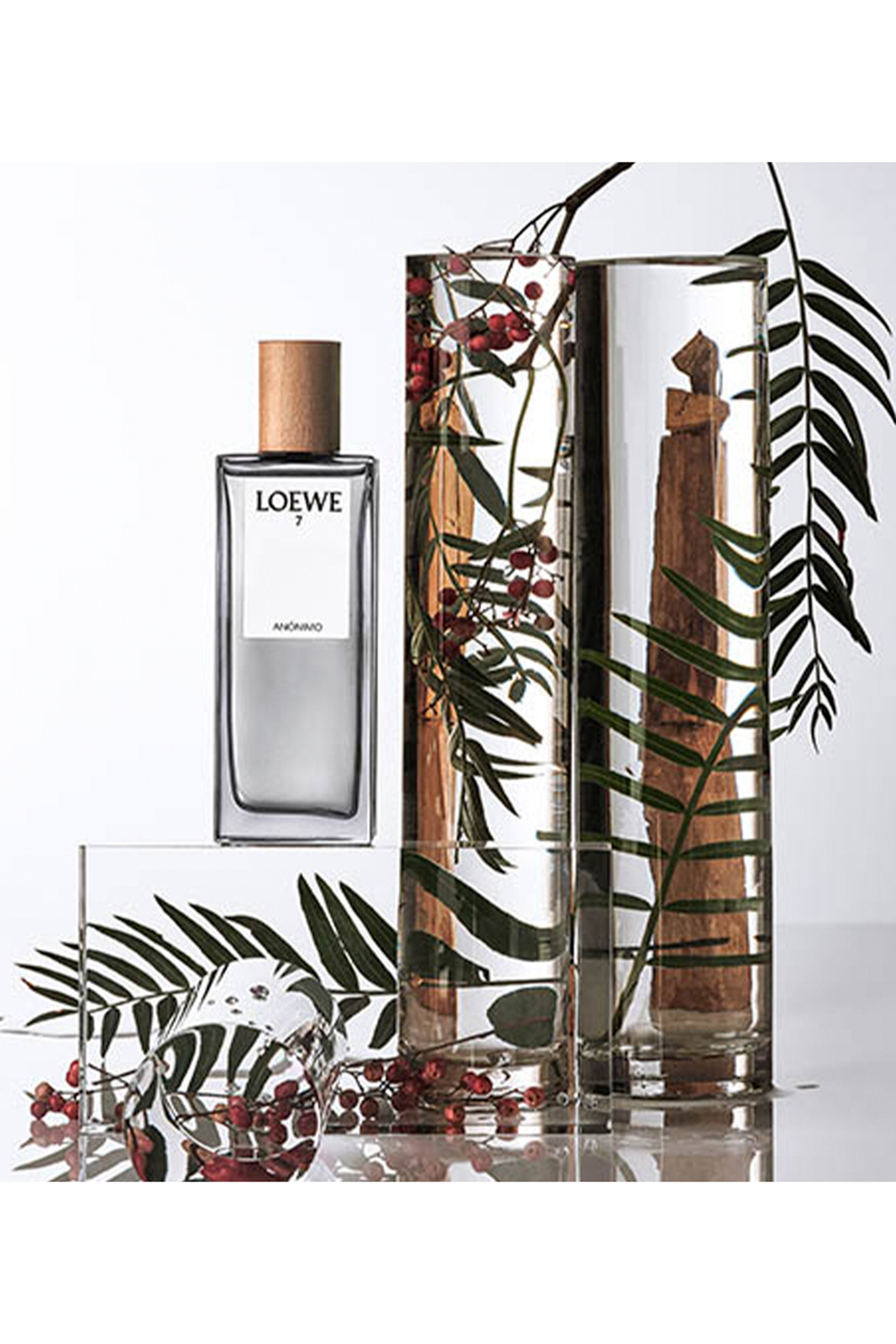7 Anonimo Eau de Parfum 4