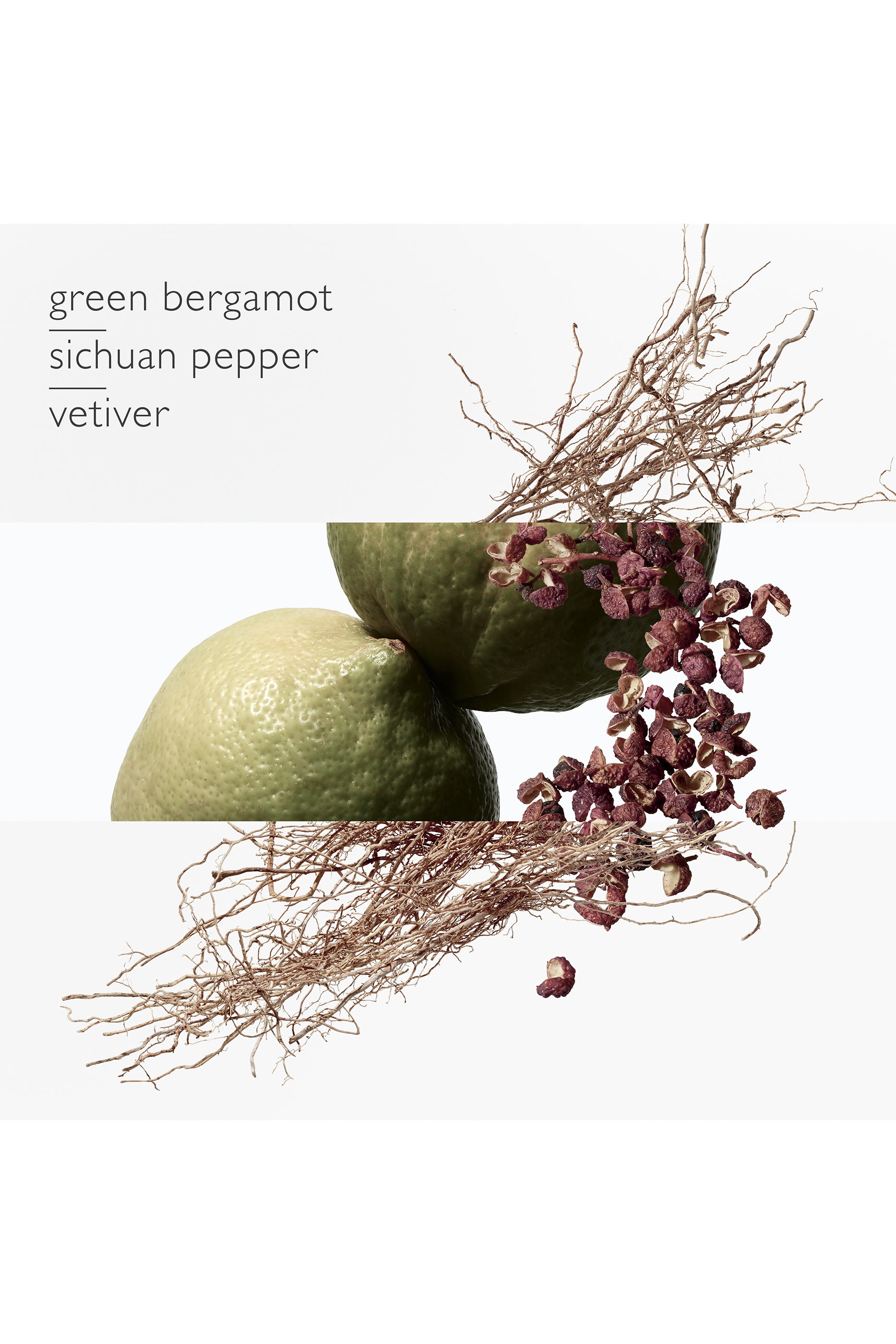 Terre D'Herm Eau Intense Vetiver 3