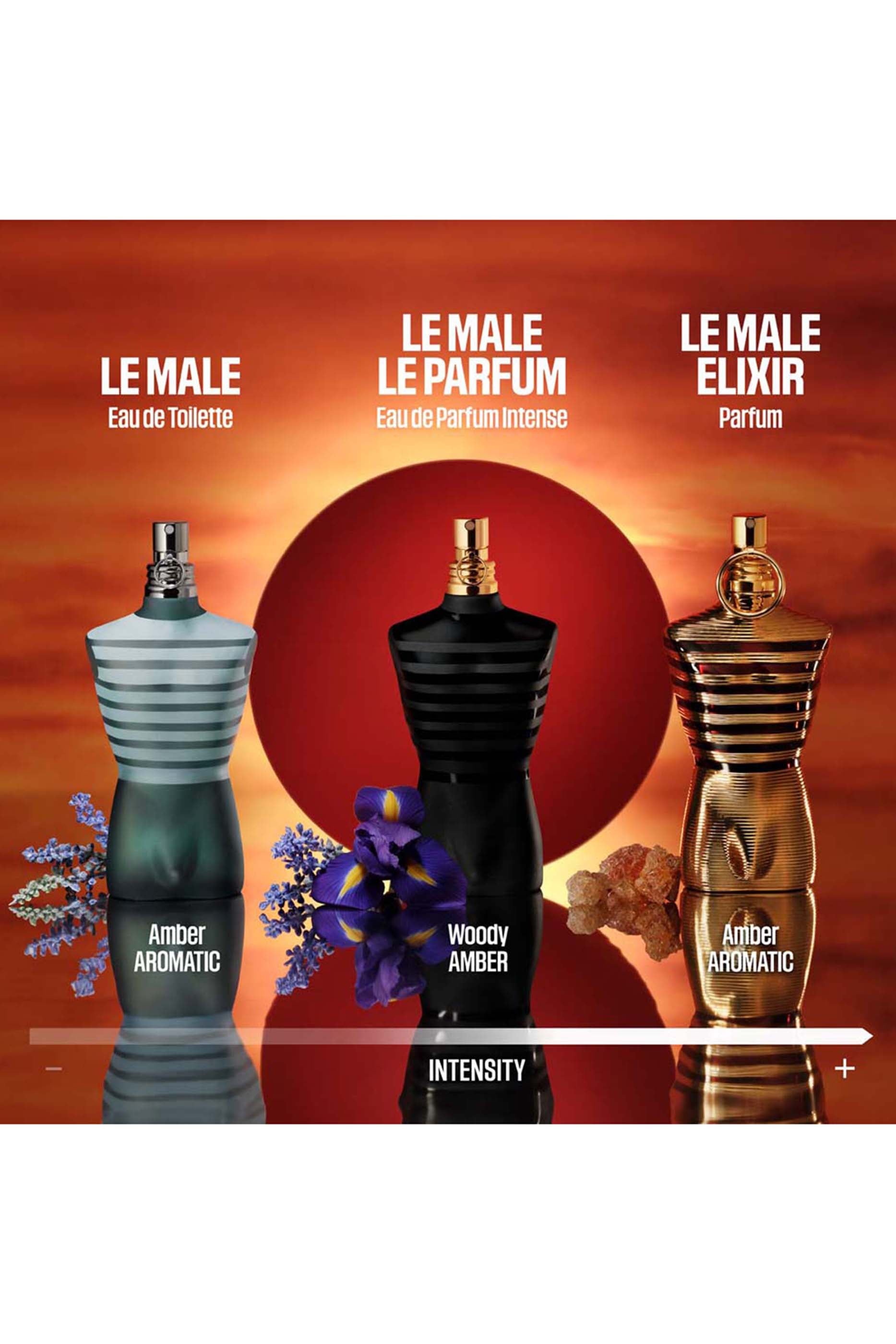 Le Male Elixir Eau de Parfum 3