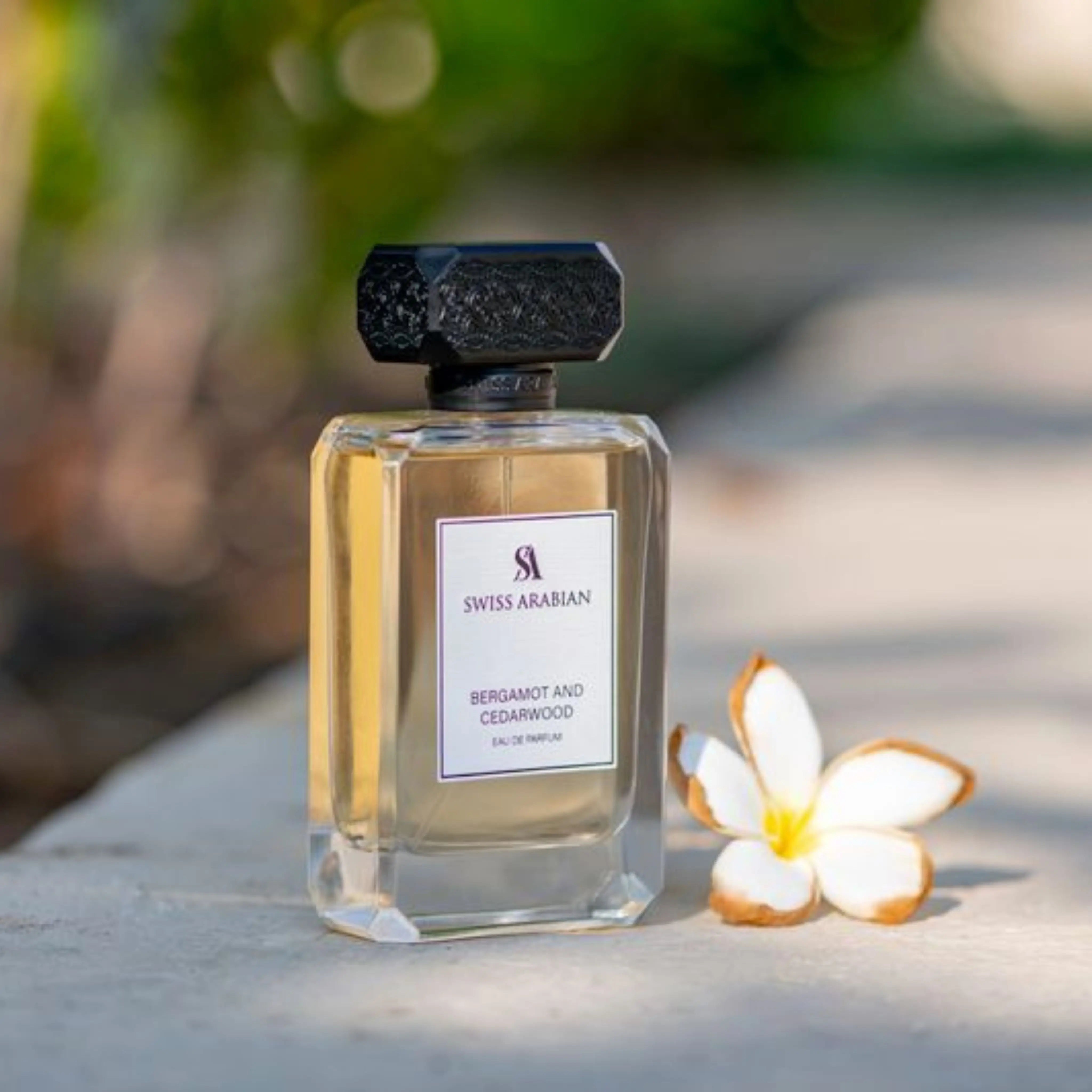 Bergamot And Cedarwood 6