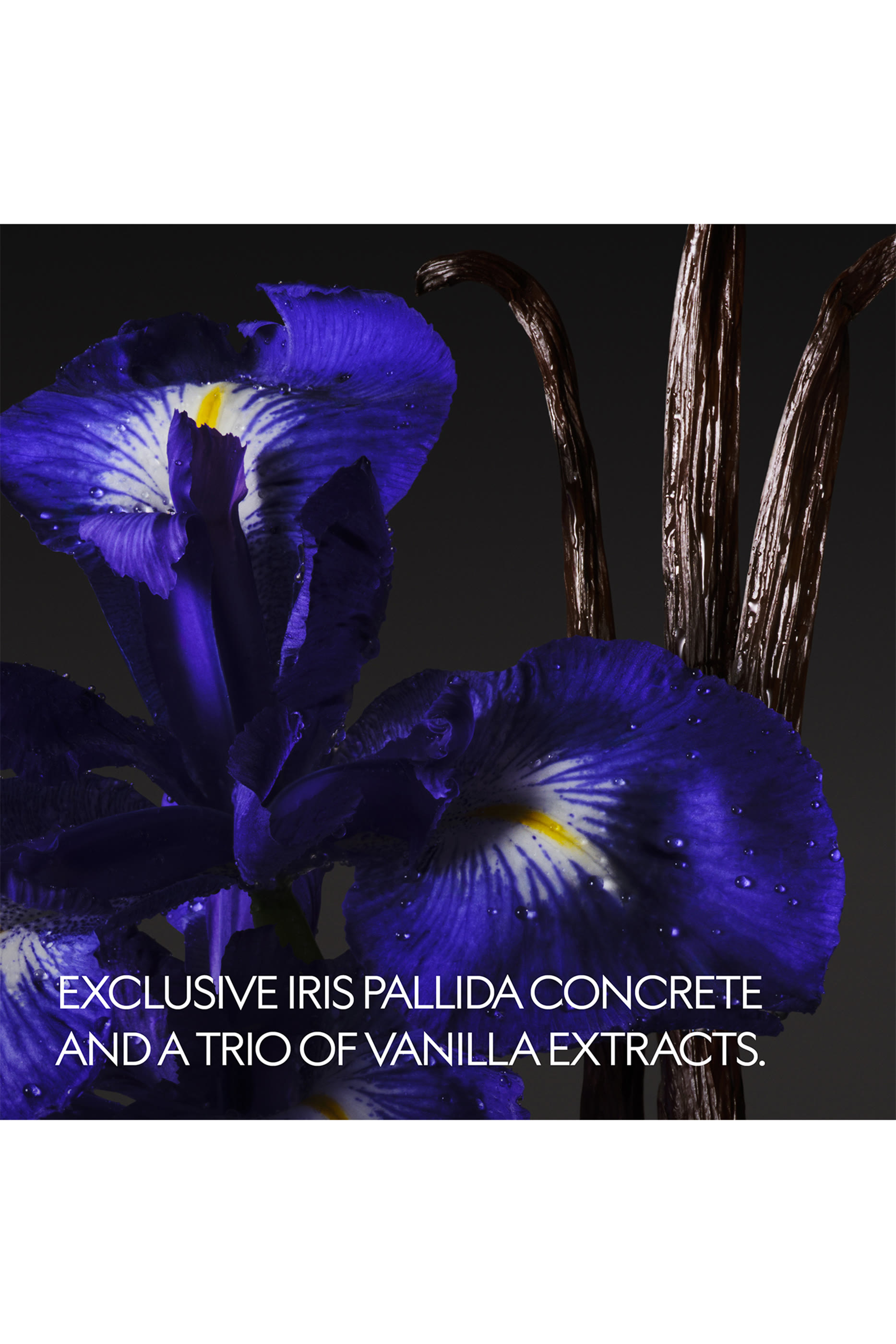 The Alchemist's Garden Vanilla Firenze Eau de Parfum 4
