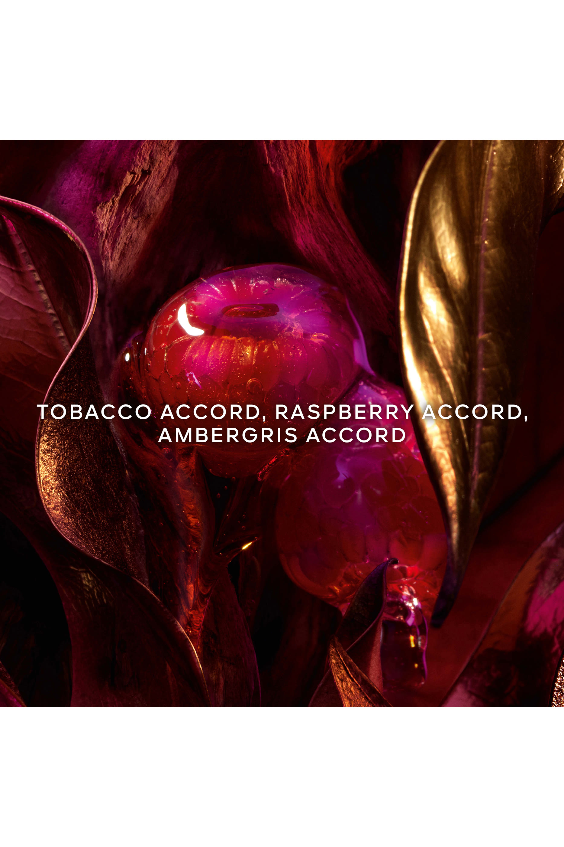 Absolus Allegoria Tabac Sahara Eau de Parfum 4