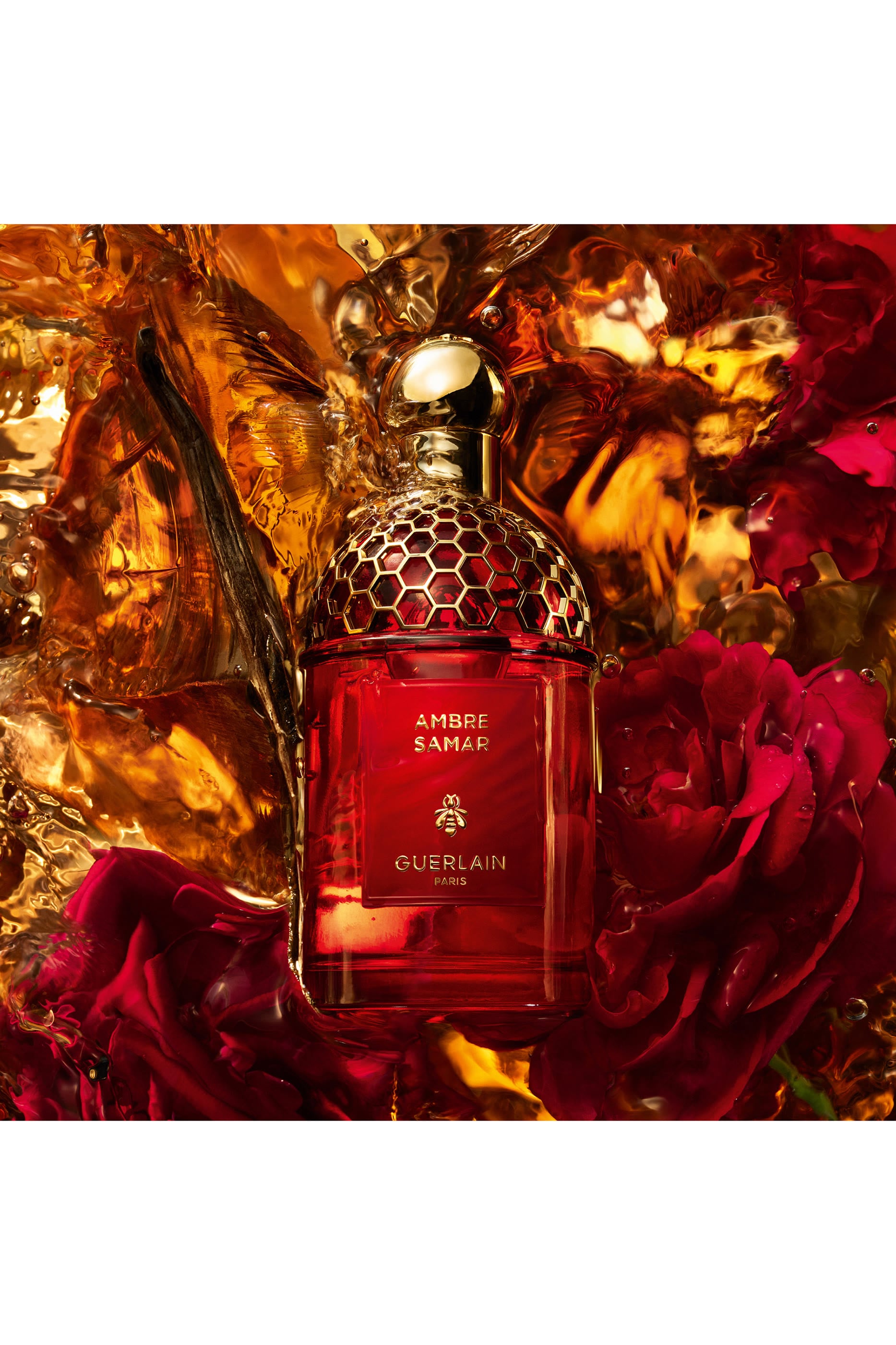 Absolus Allegoria Ambre Samar Eau de Parfum 2