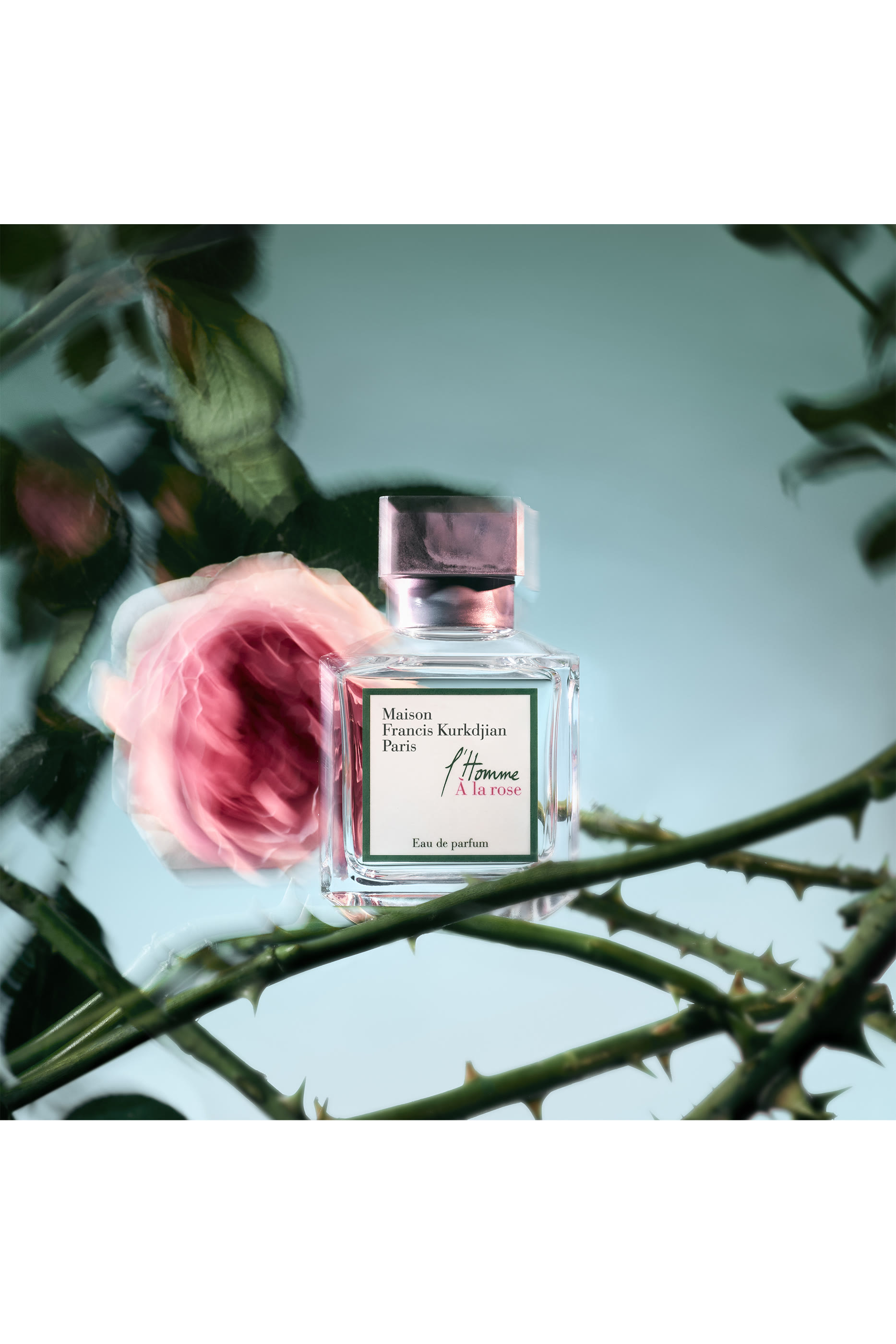 L'Homme À la Rose Eau de Parfum 4