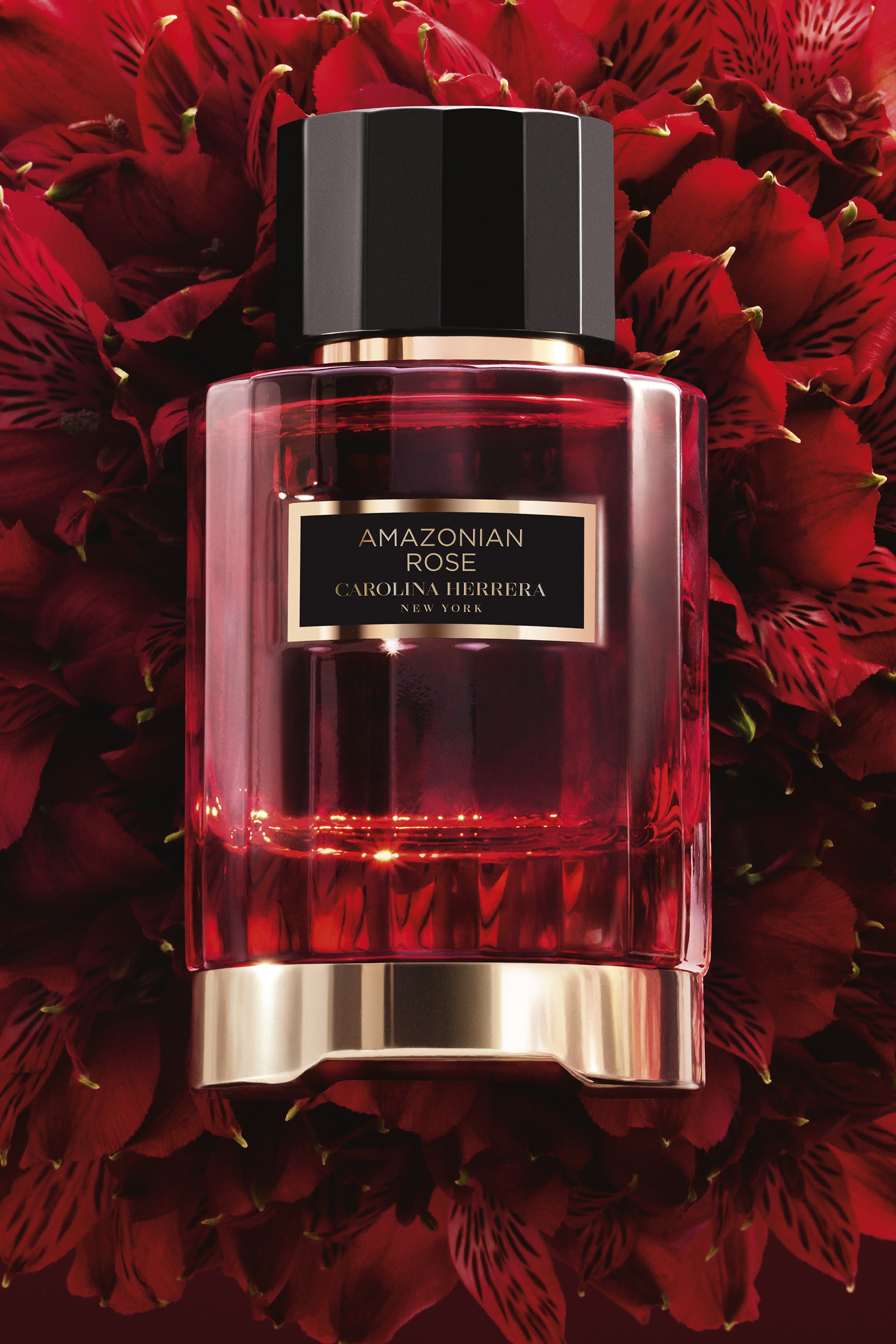 Amazonian Rose Eau de Parfum 6