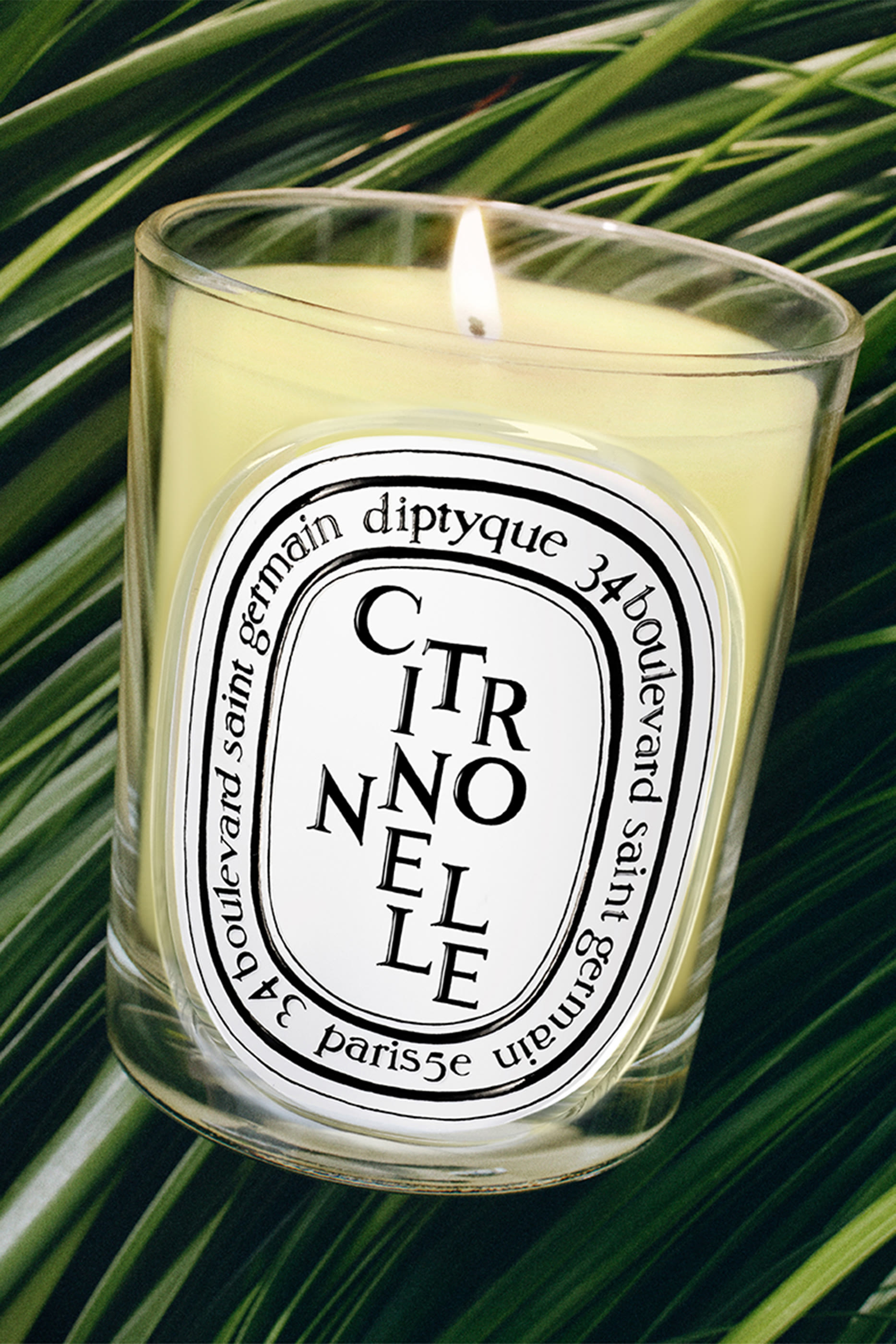 Citronnelle Classic Candle 4