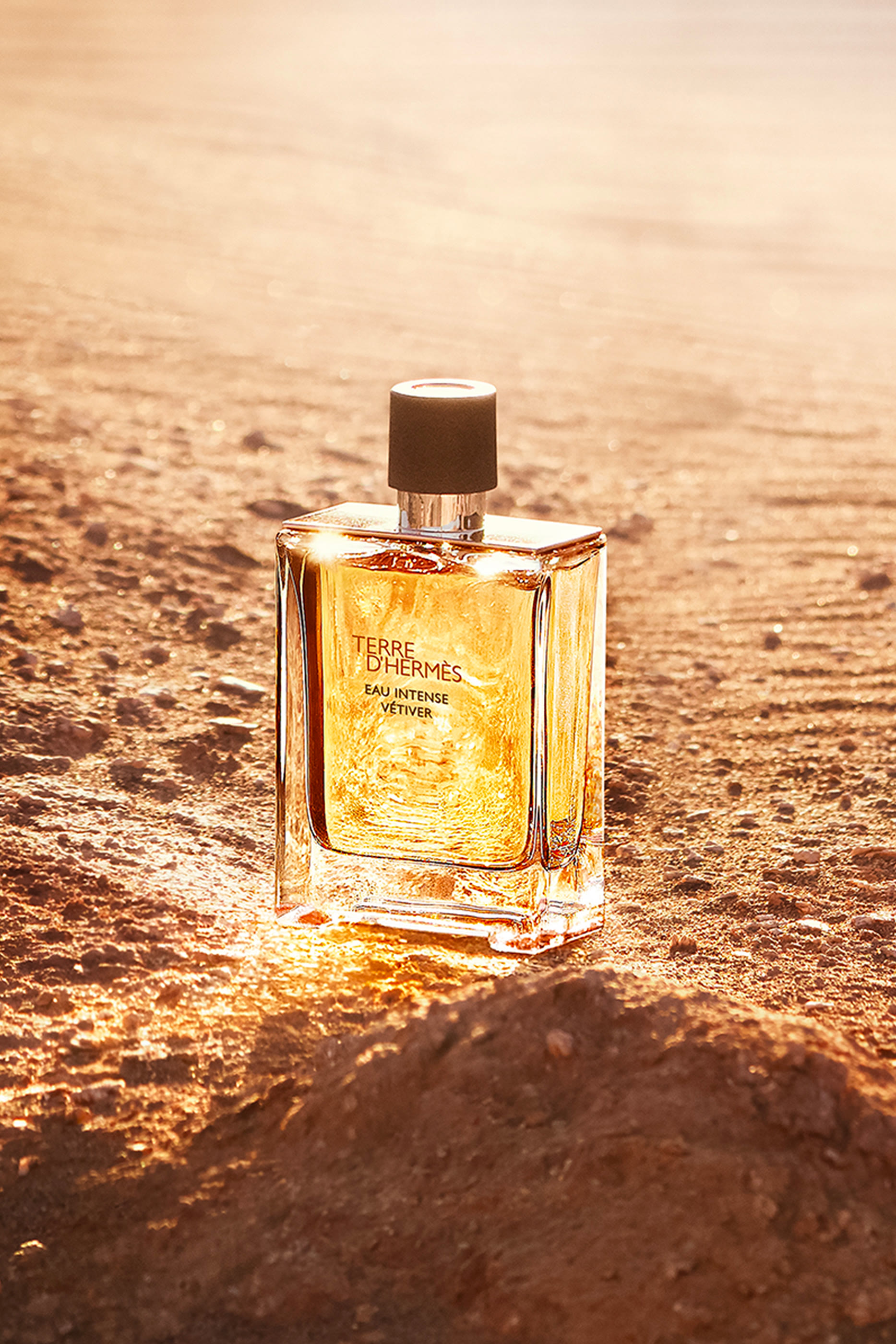 Terre D'Herm Eau Intense Vetiver 2