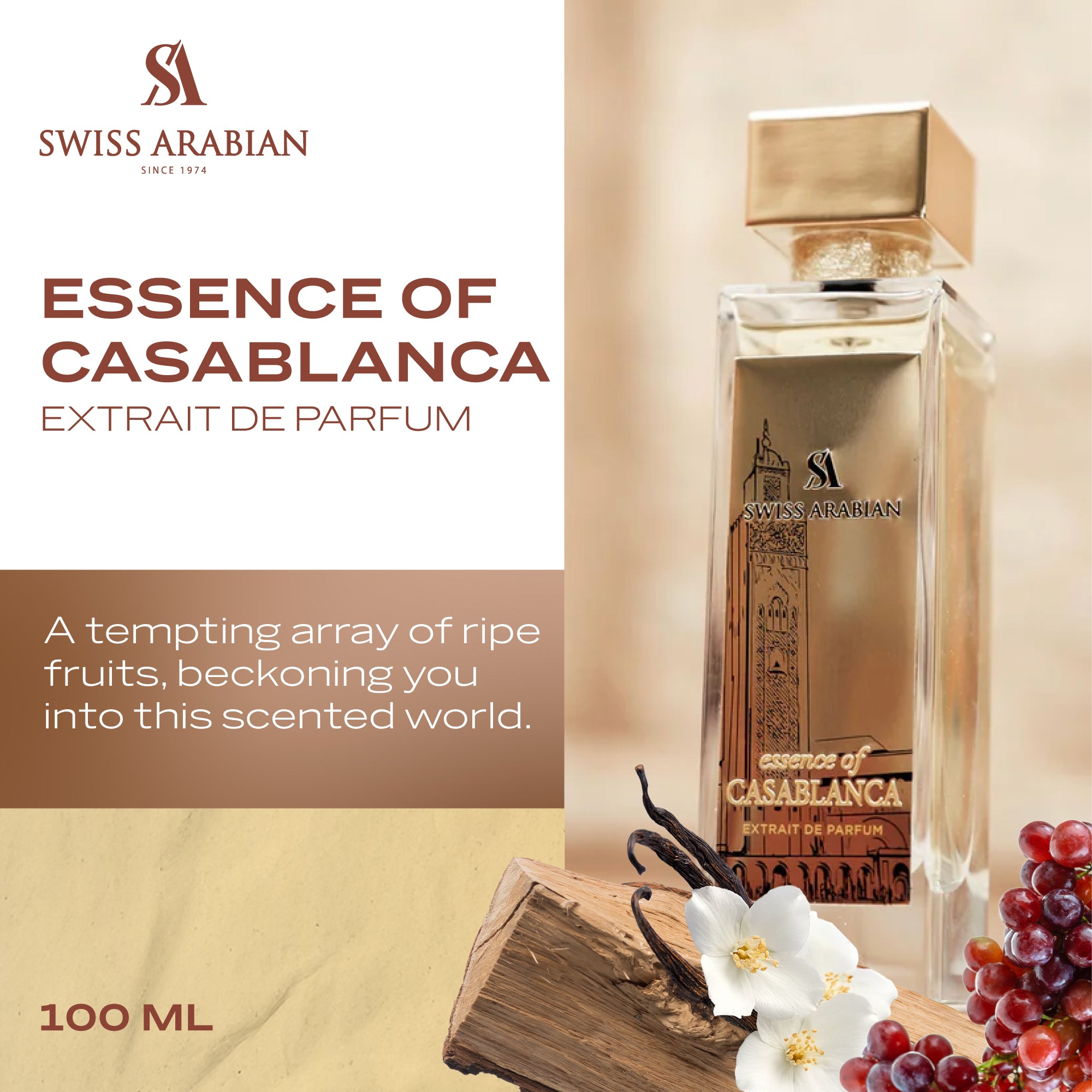 Essence Of Casablanca 3