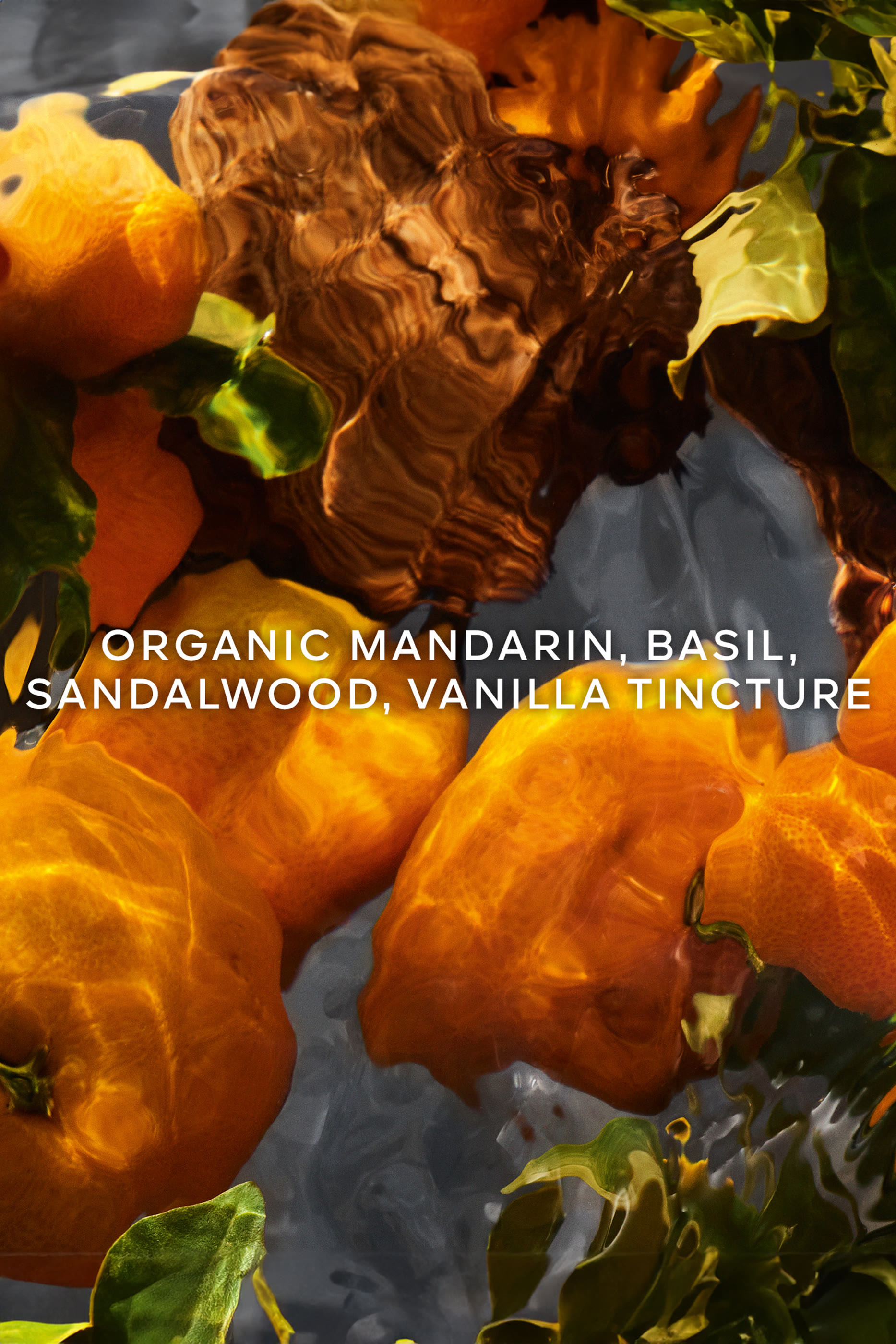 Mandarine Basilic Forte Eau de Parfum 7