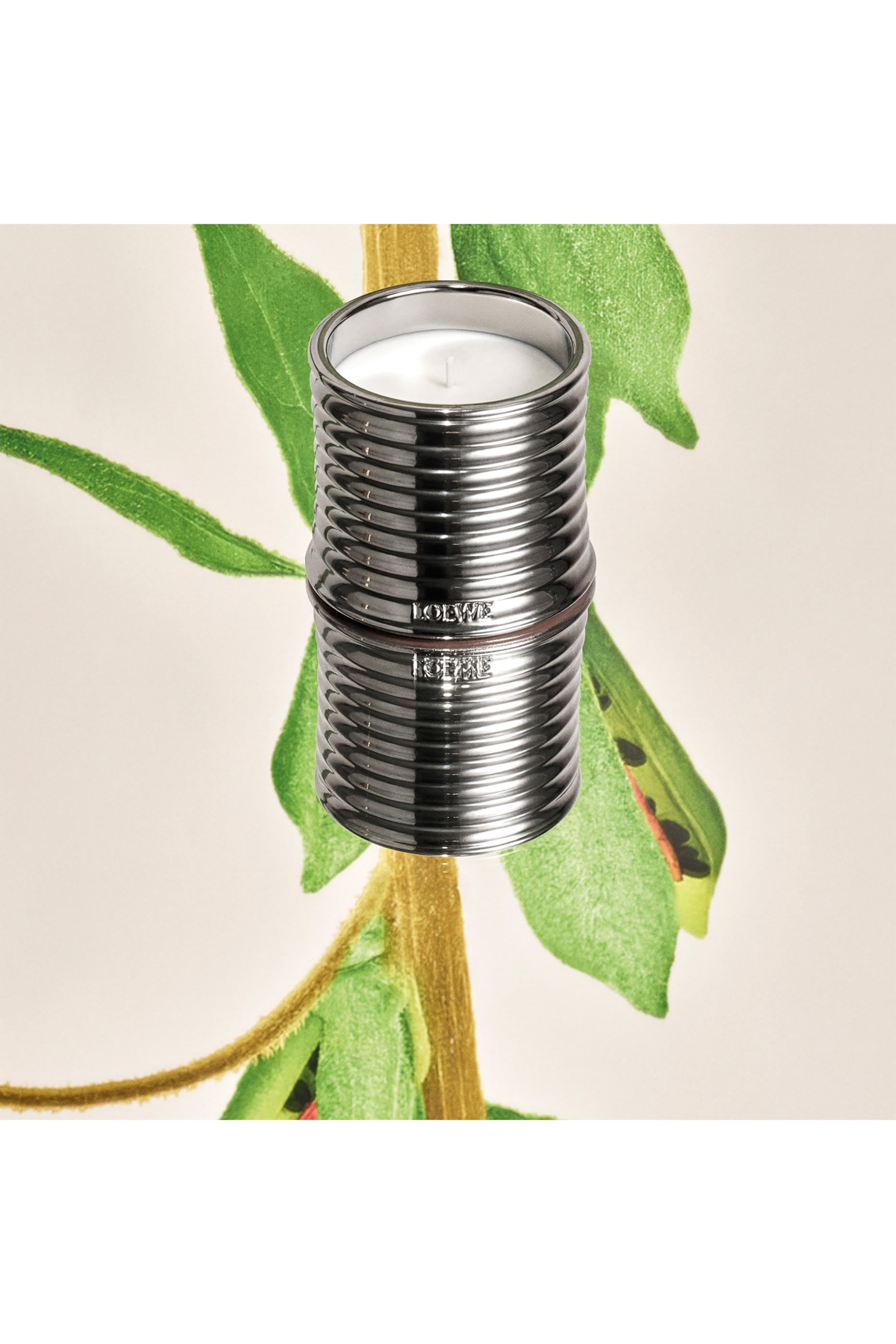 Black Sesame Scented Candle 3