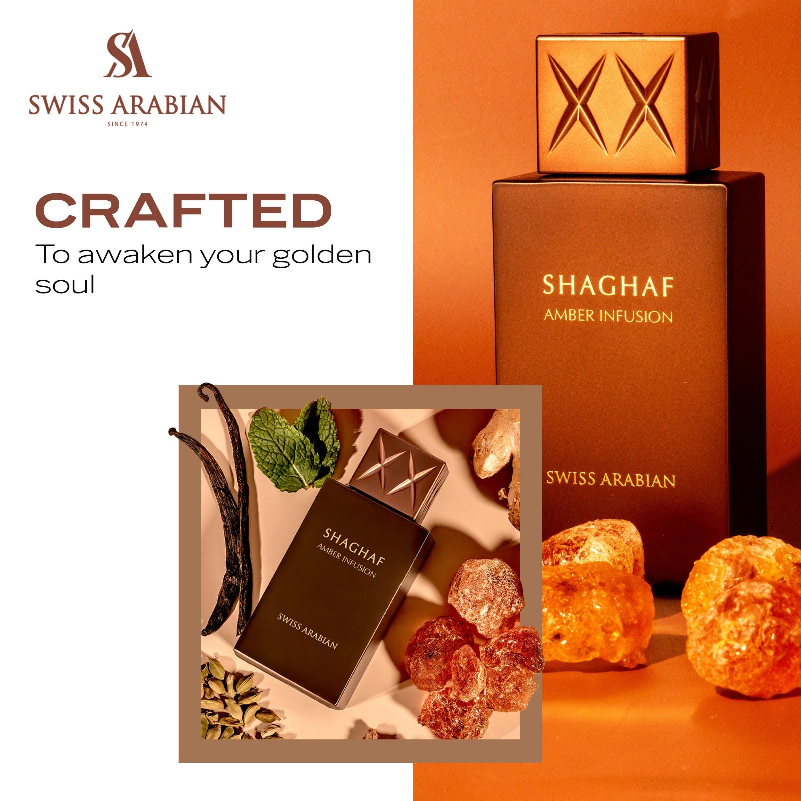 Shaghaf Amber Infusion 6