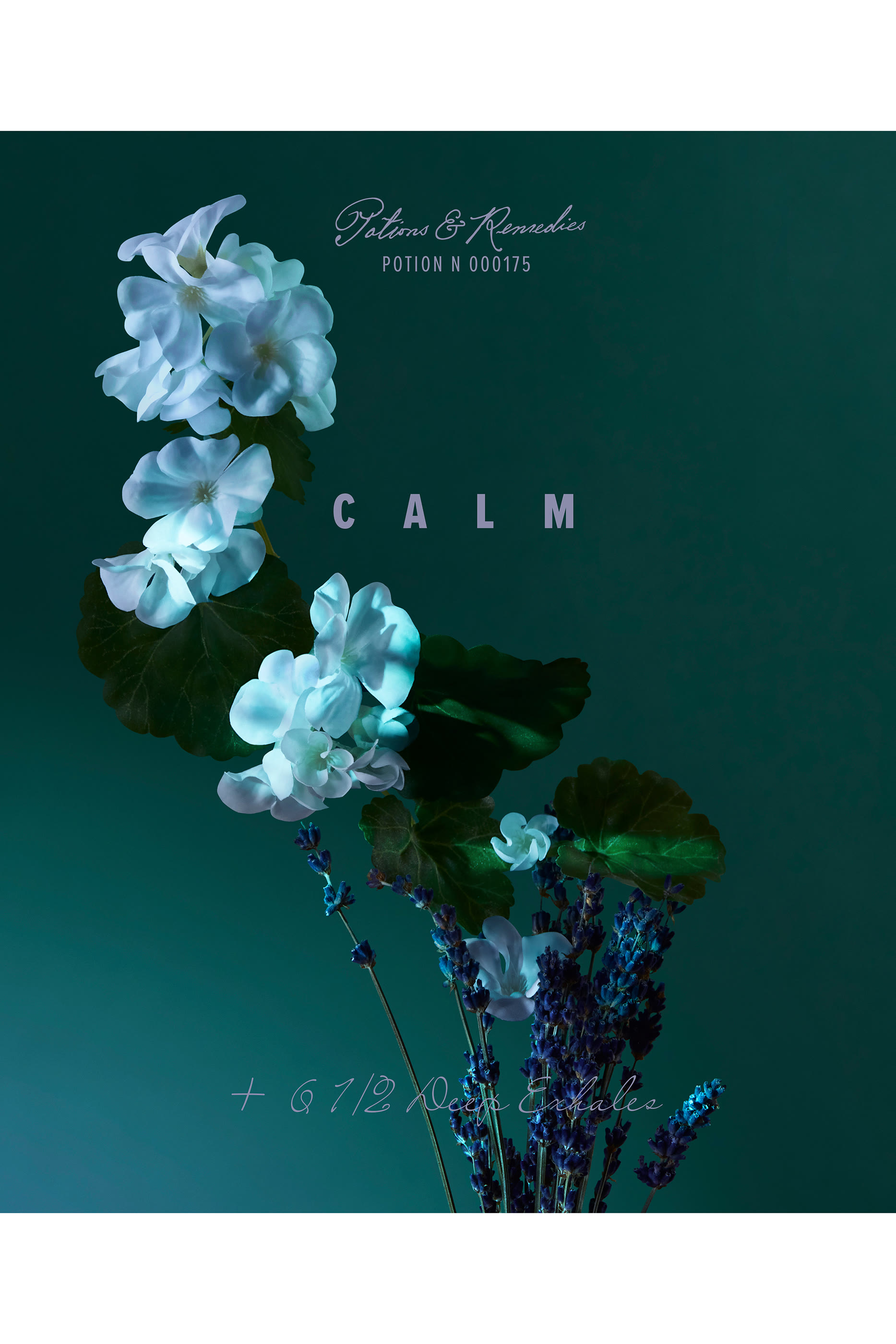 A Balm of Calm Eau de Parfum 3