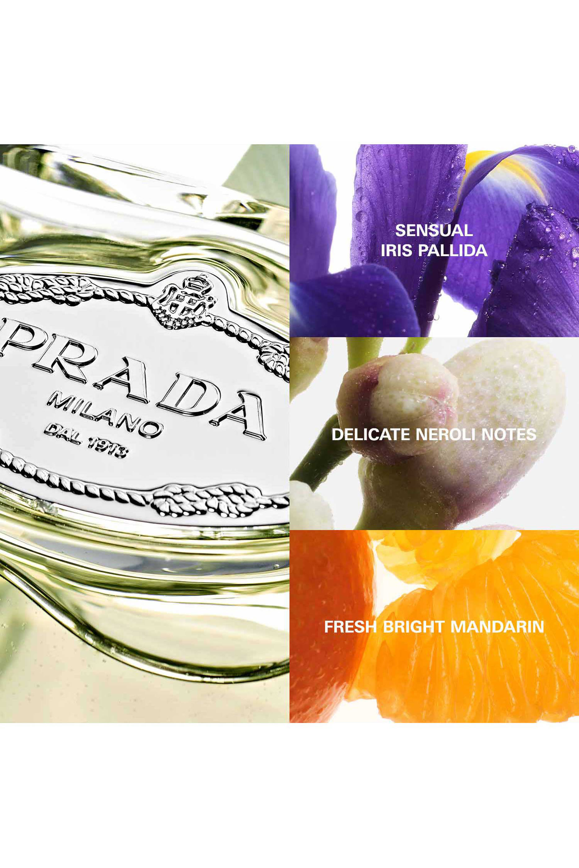 Les Infusions de Prada Iris Eau de Parfum 5