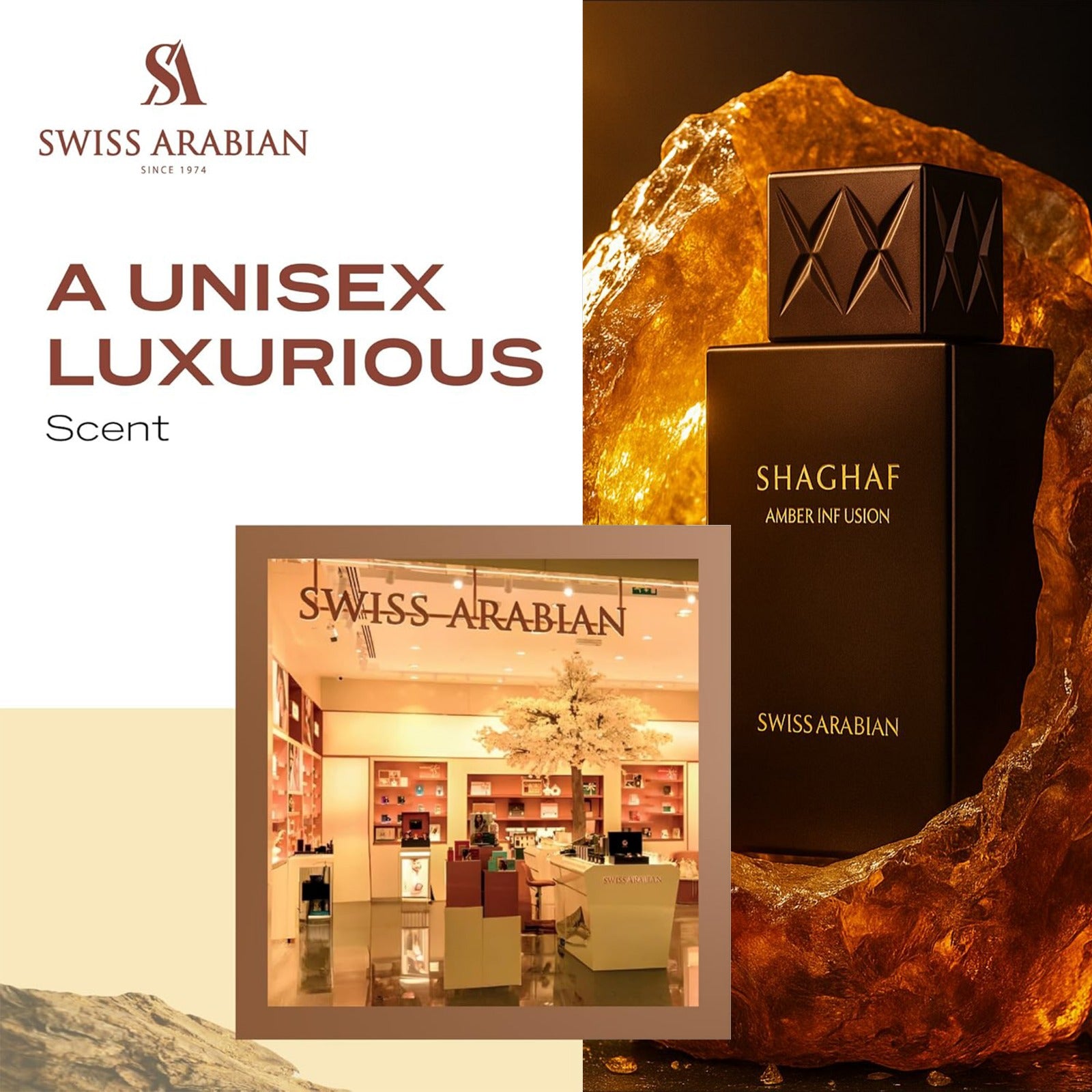 Shaghaf Amber Infusion 4