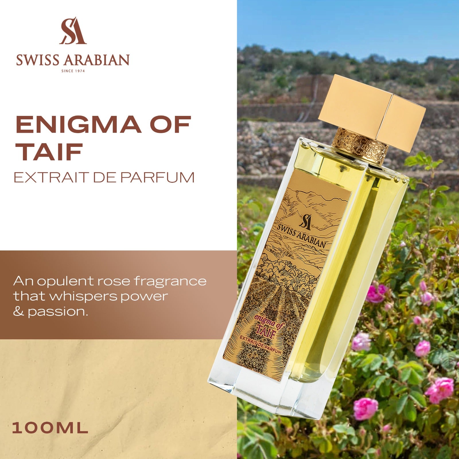 Enigma Of Taif 3