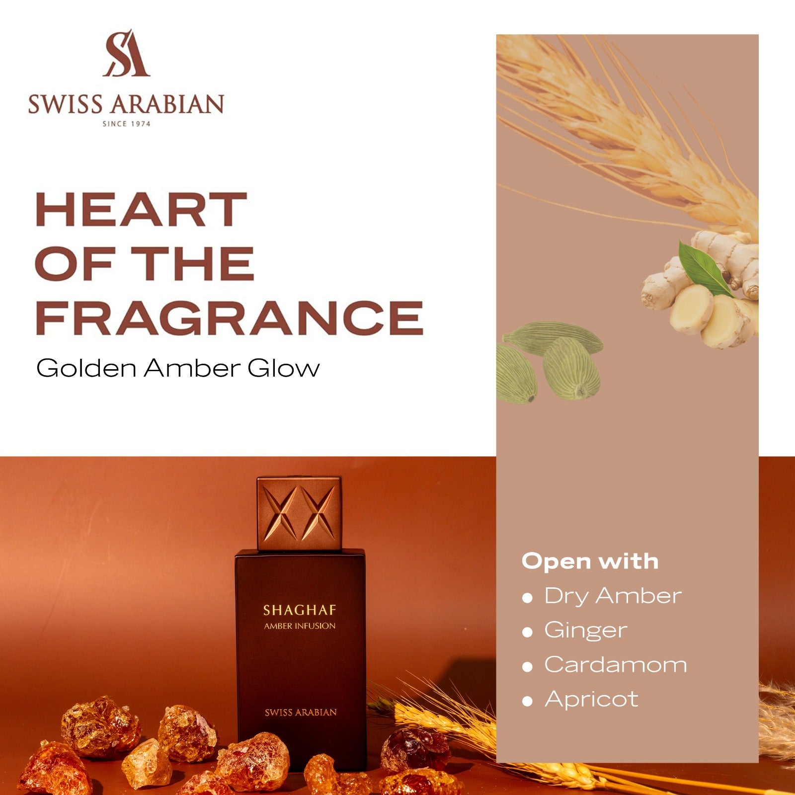 Shaghaf Amber Infusion 5