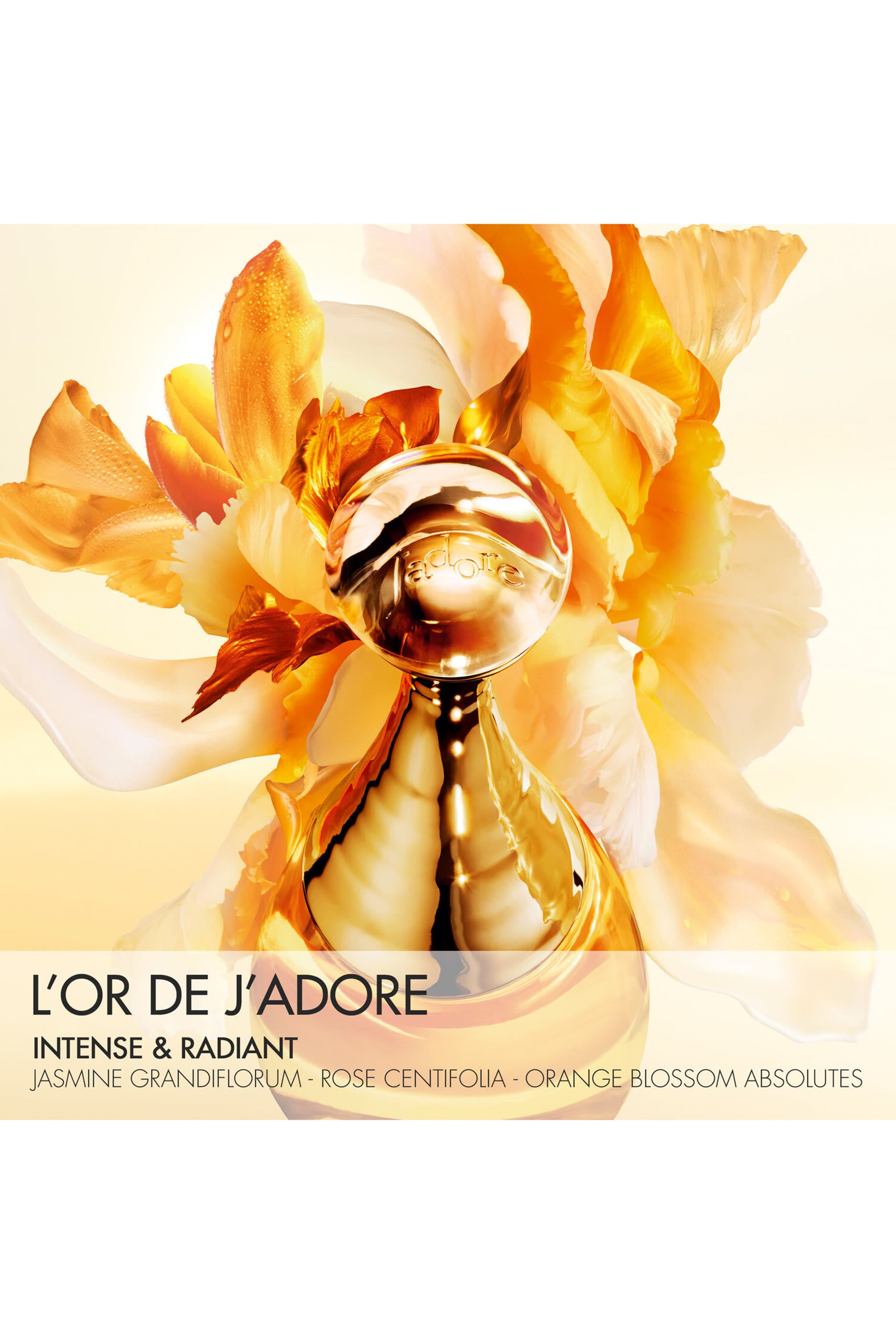 L'Or de J'adore 3