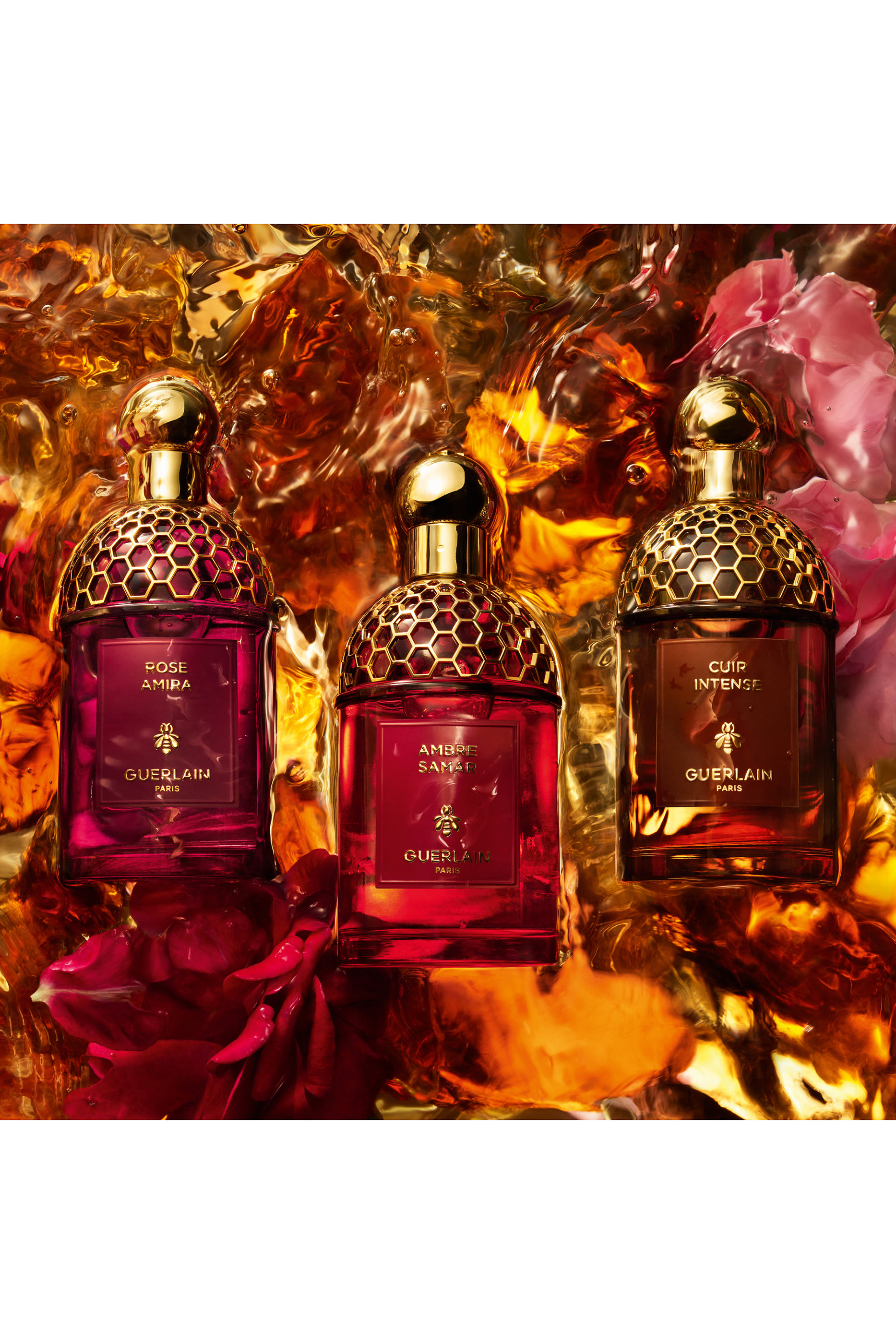 Absolus Allegoria Ambre Samar Eau de Parfum 6