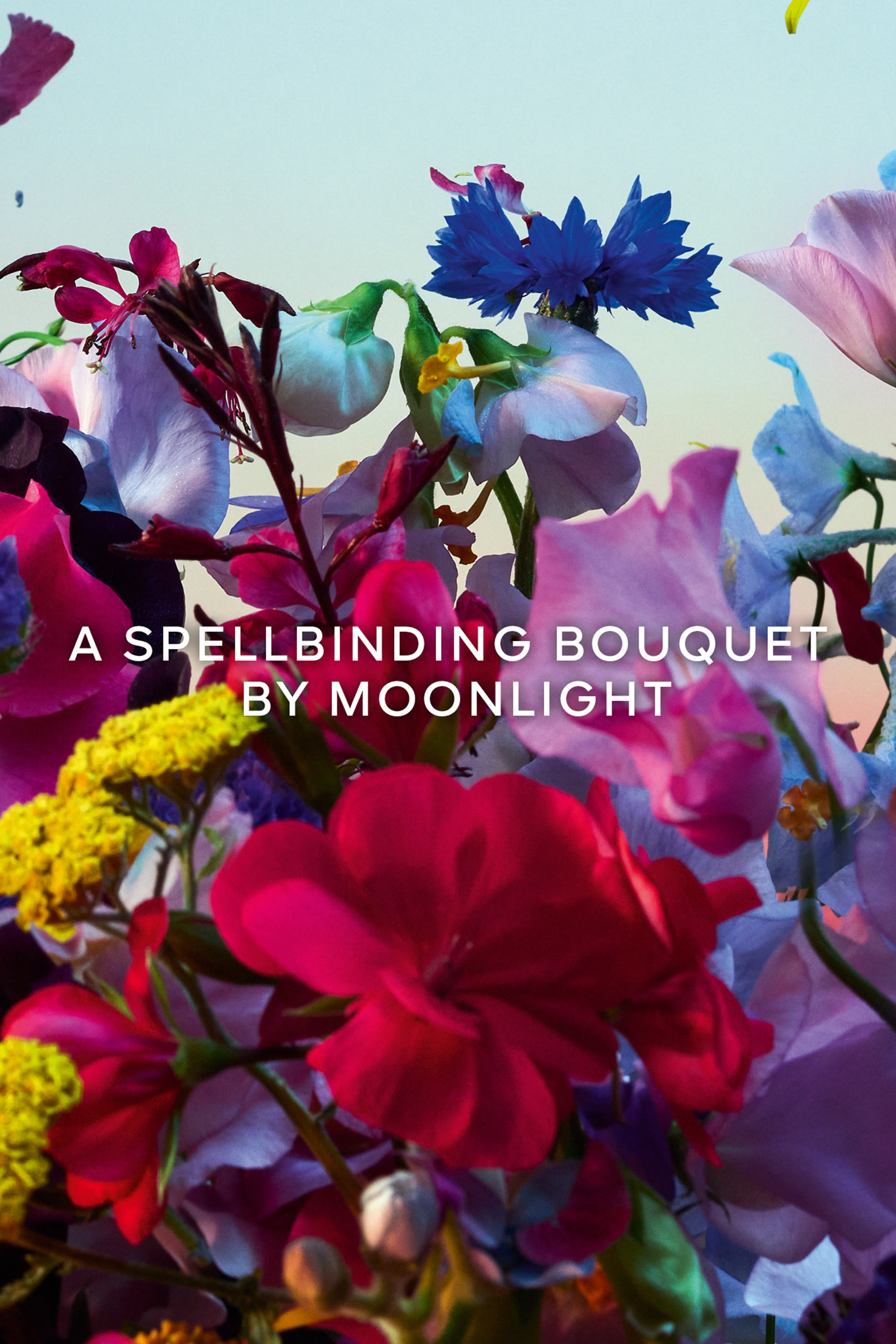 Absolus Allegoria Florabloom Absolu Eau de Parfum 4