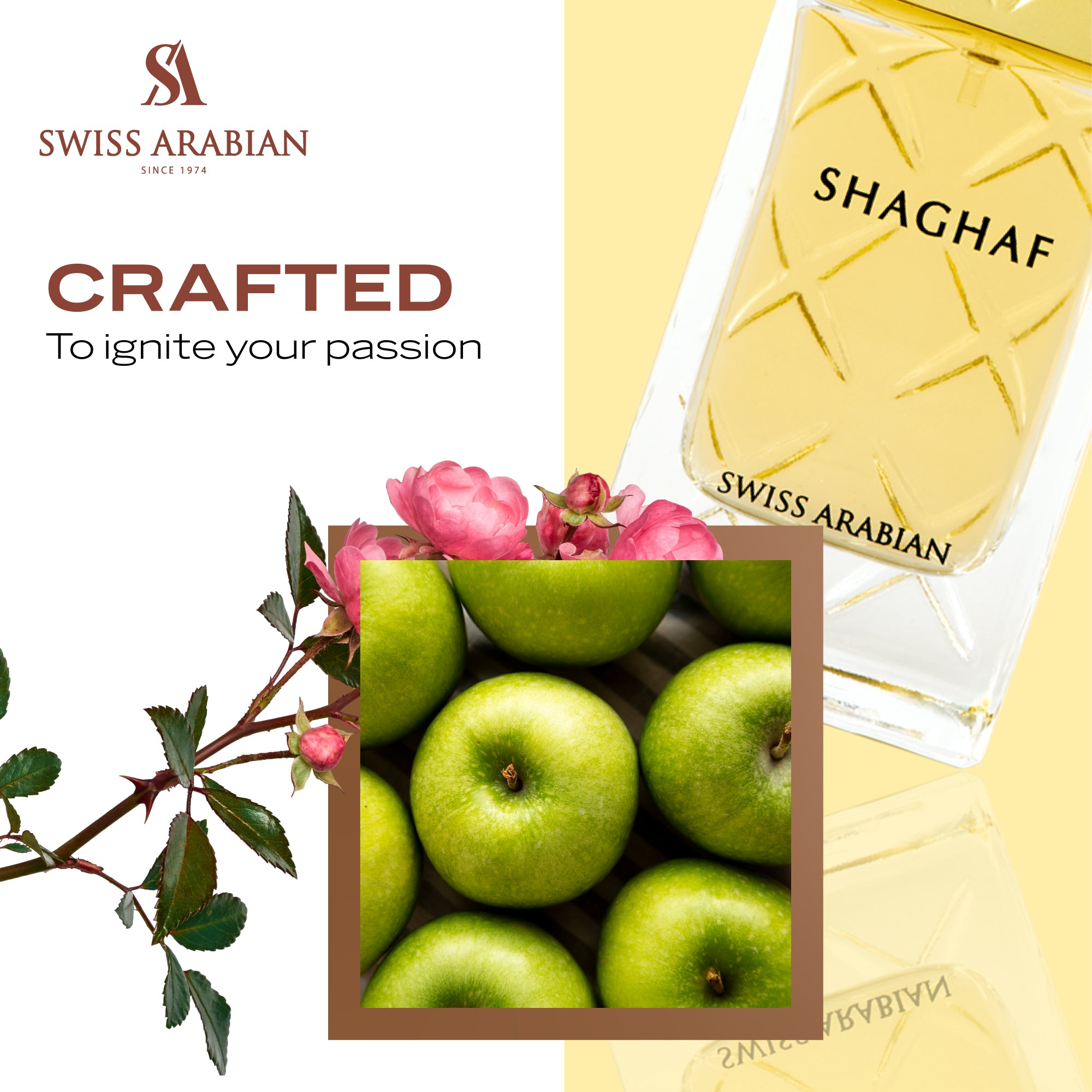 Shaghaf Women 75ml 6