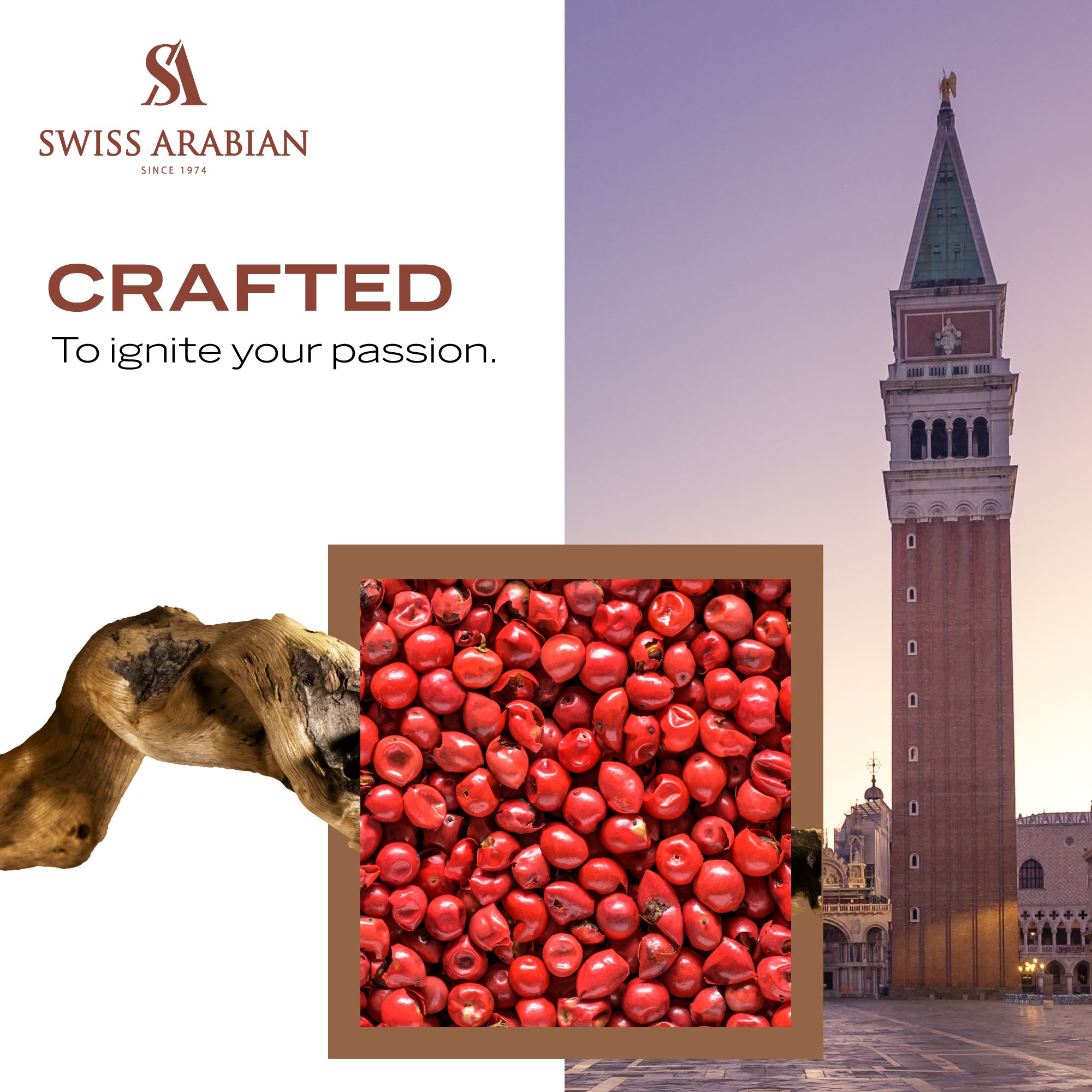 Passion Of Venice 6
