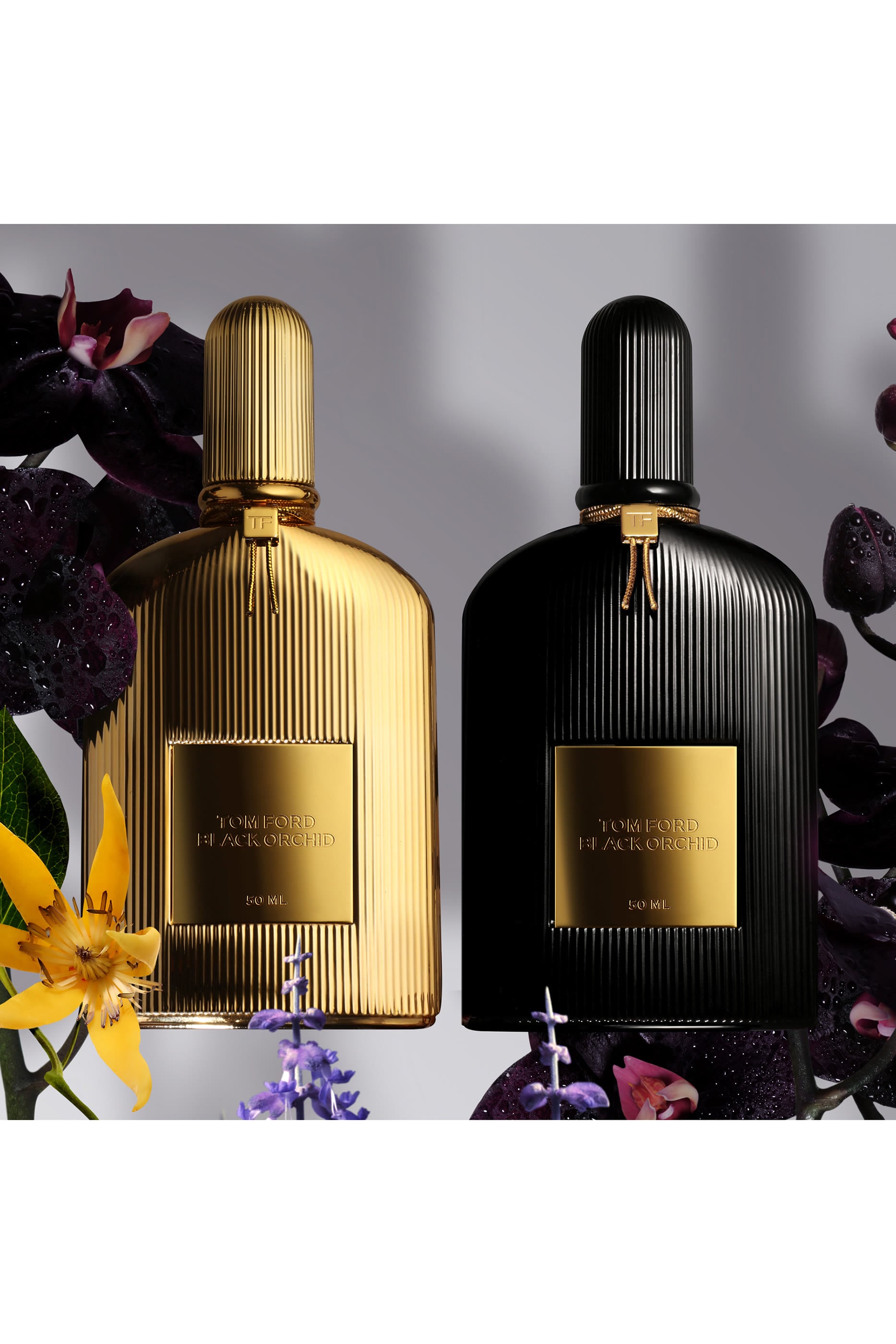 Black Orchid Eau de Parfum Spray 5