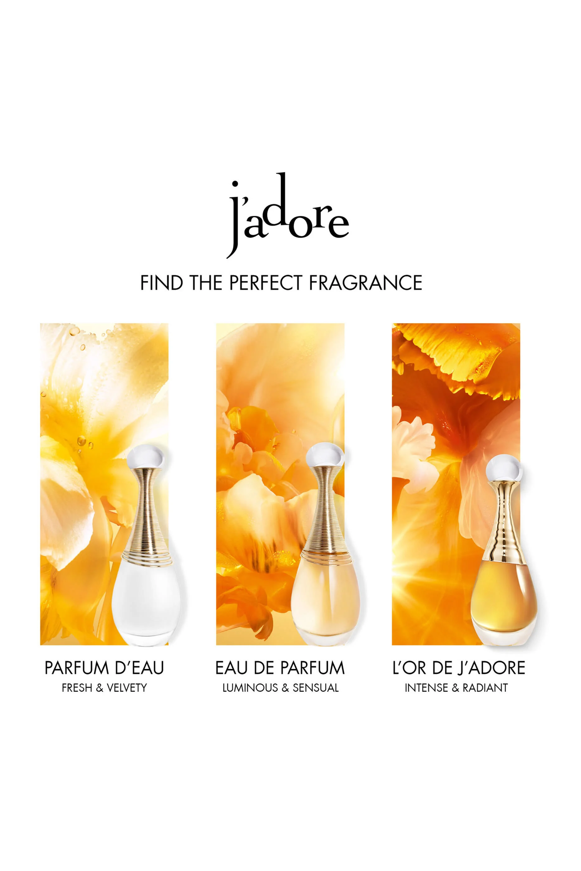 L'Or de J'adore 4