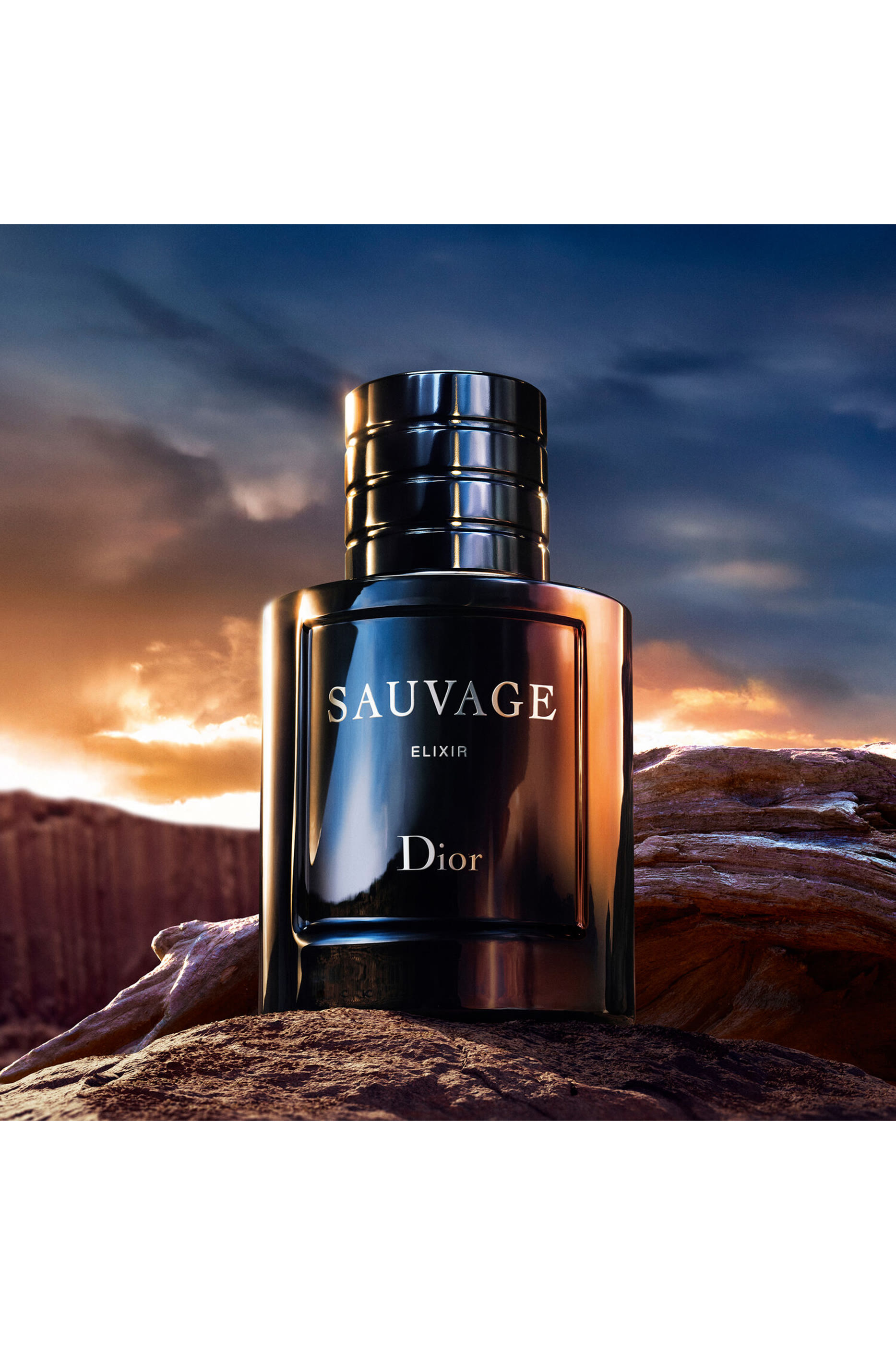 Sauvage Elixir Spray 5