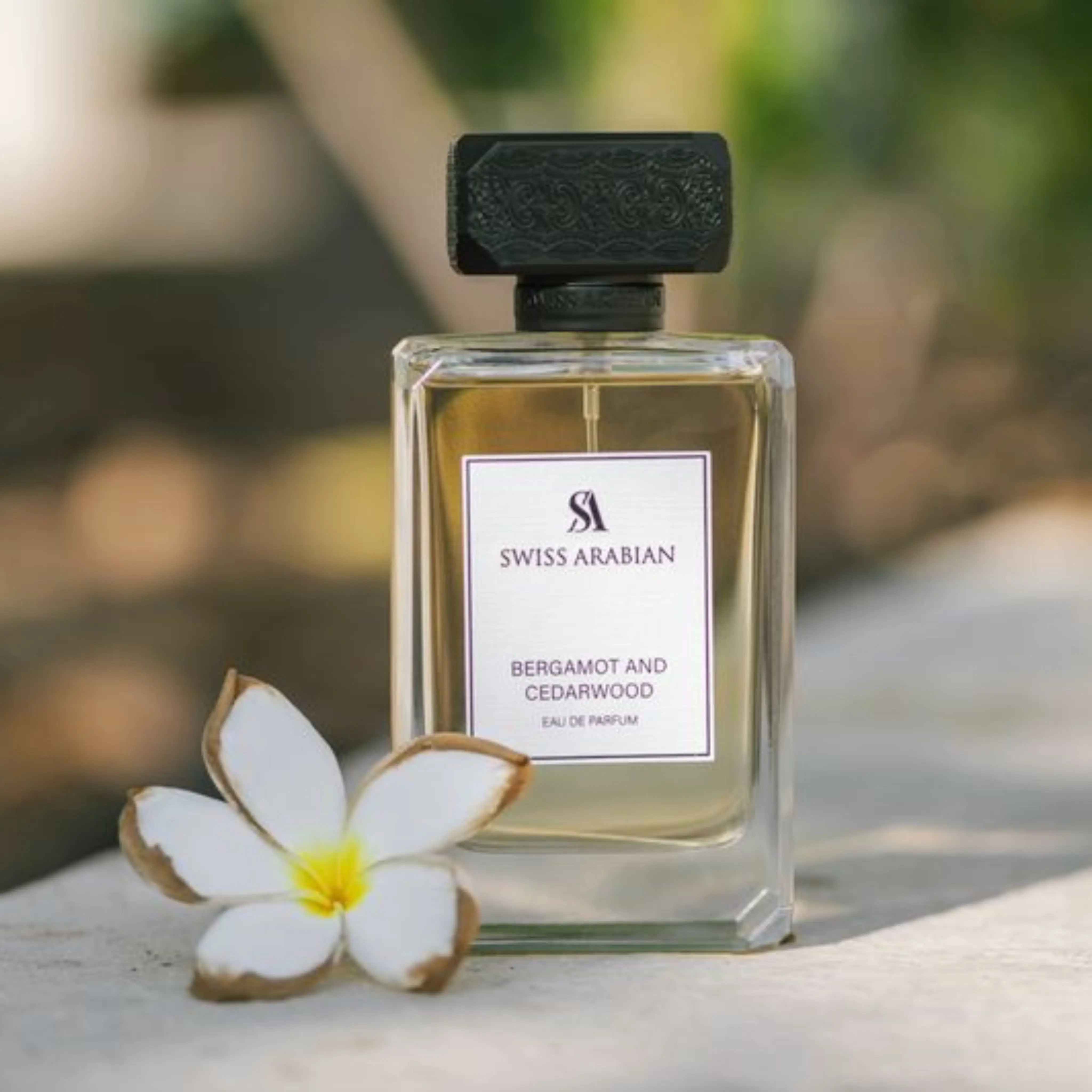 Bergamot And Cedarwood 4