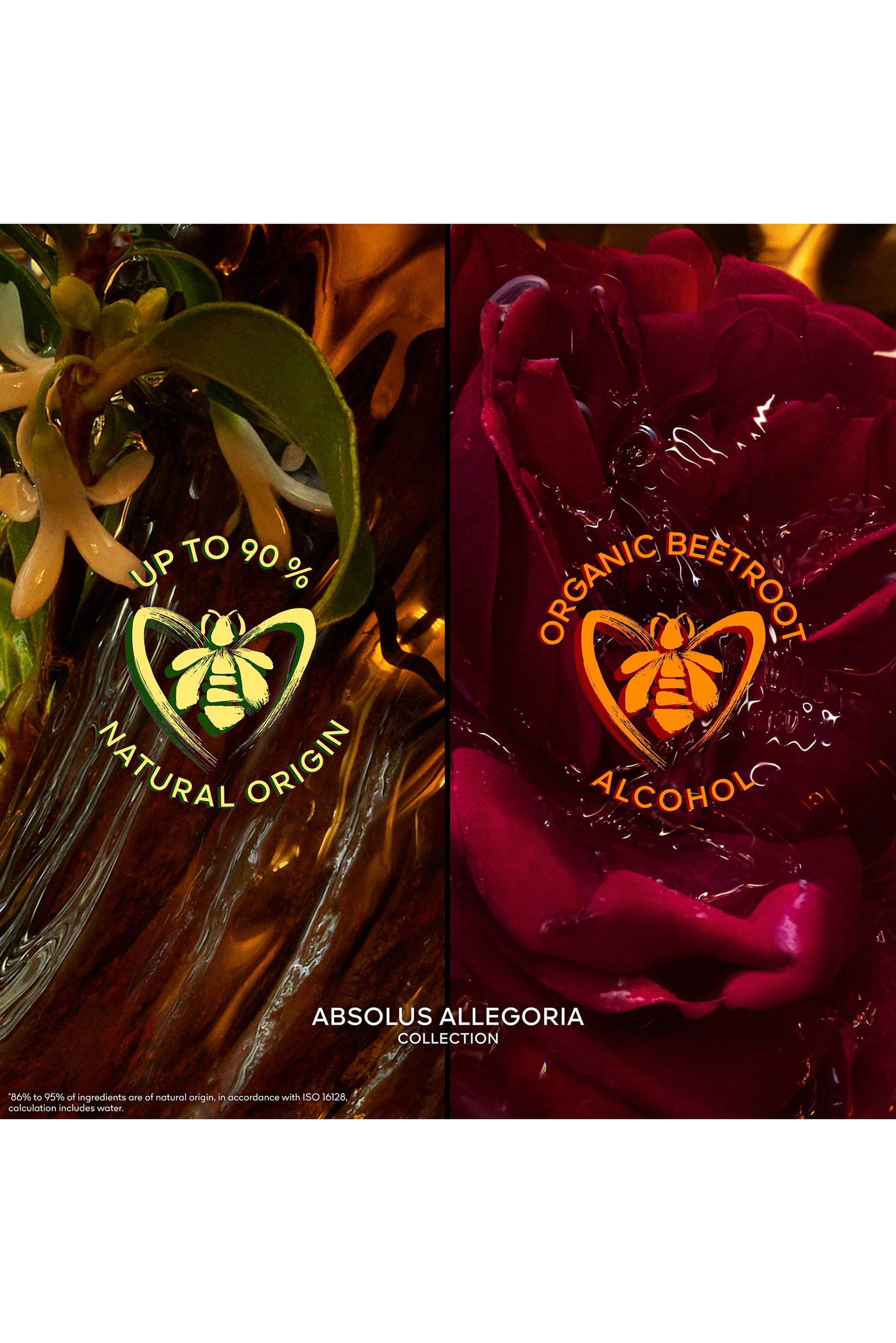 Rose Amira Eau De Parfum 3