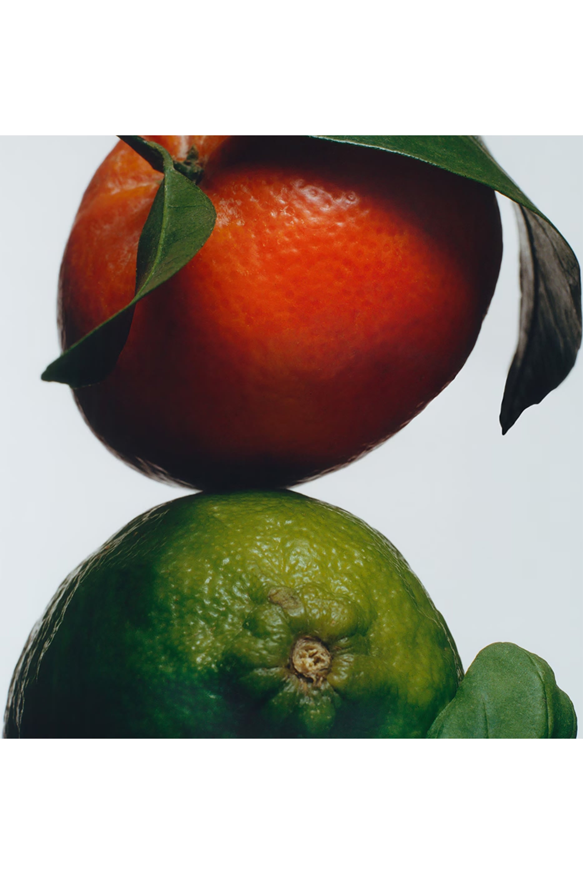 Lime Basil and Mandarin Scent Surround™ Diffuser 3
