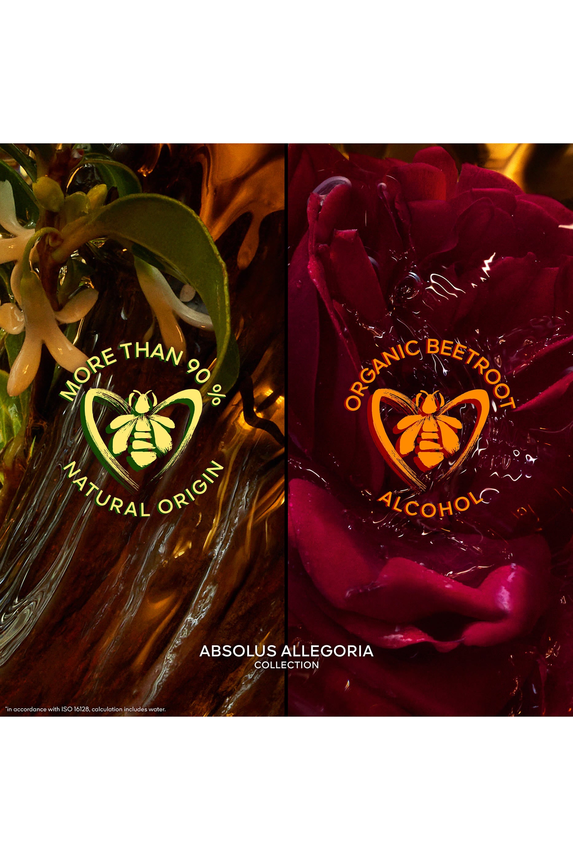 Absolus Allegoria Ambre Samar Eau de Parfum 4