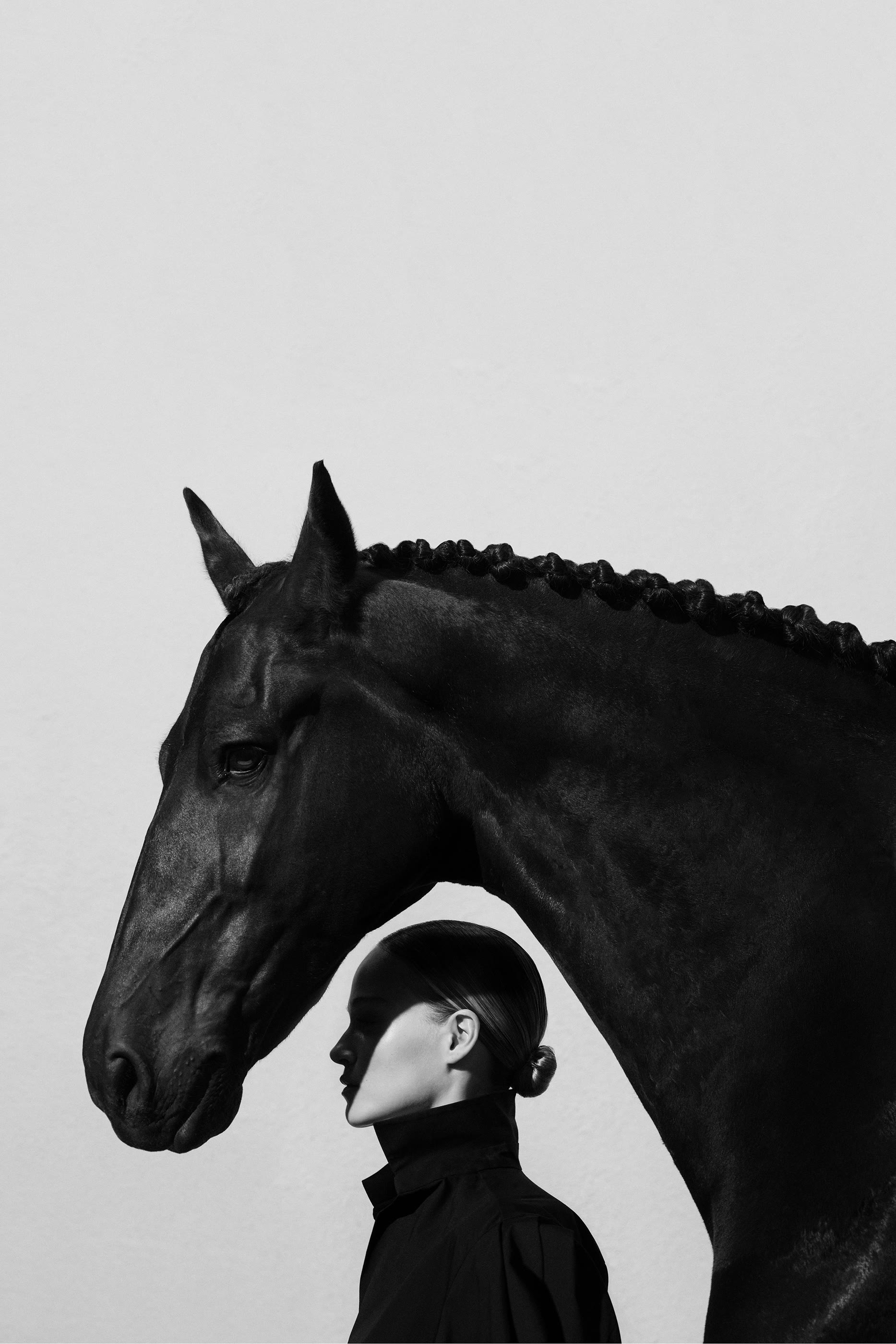 Stallion Leather Suede 5