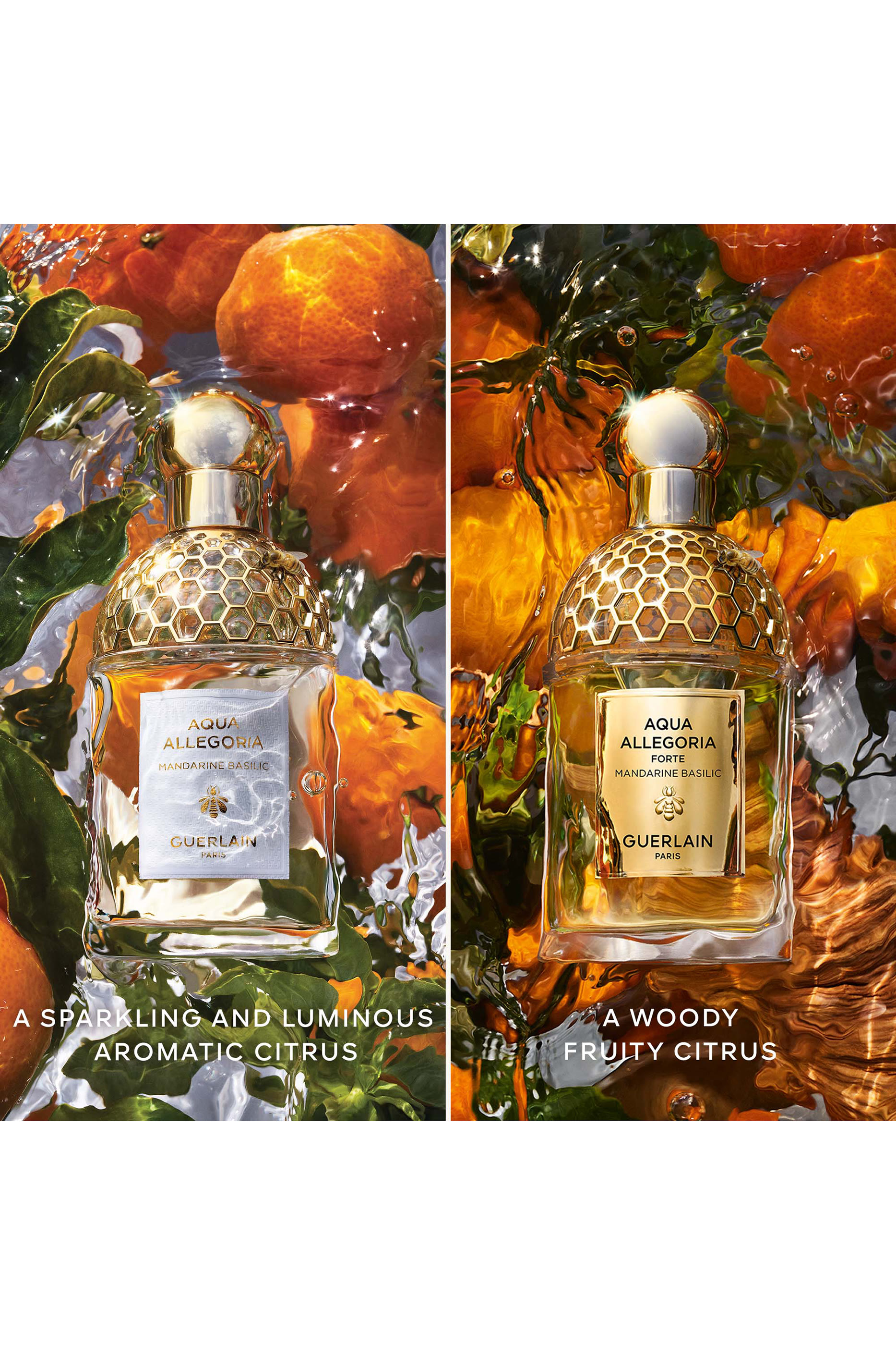 Mandarine Basilic Forte Eau de Parfum 8