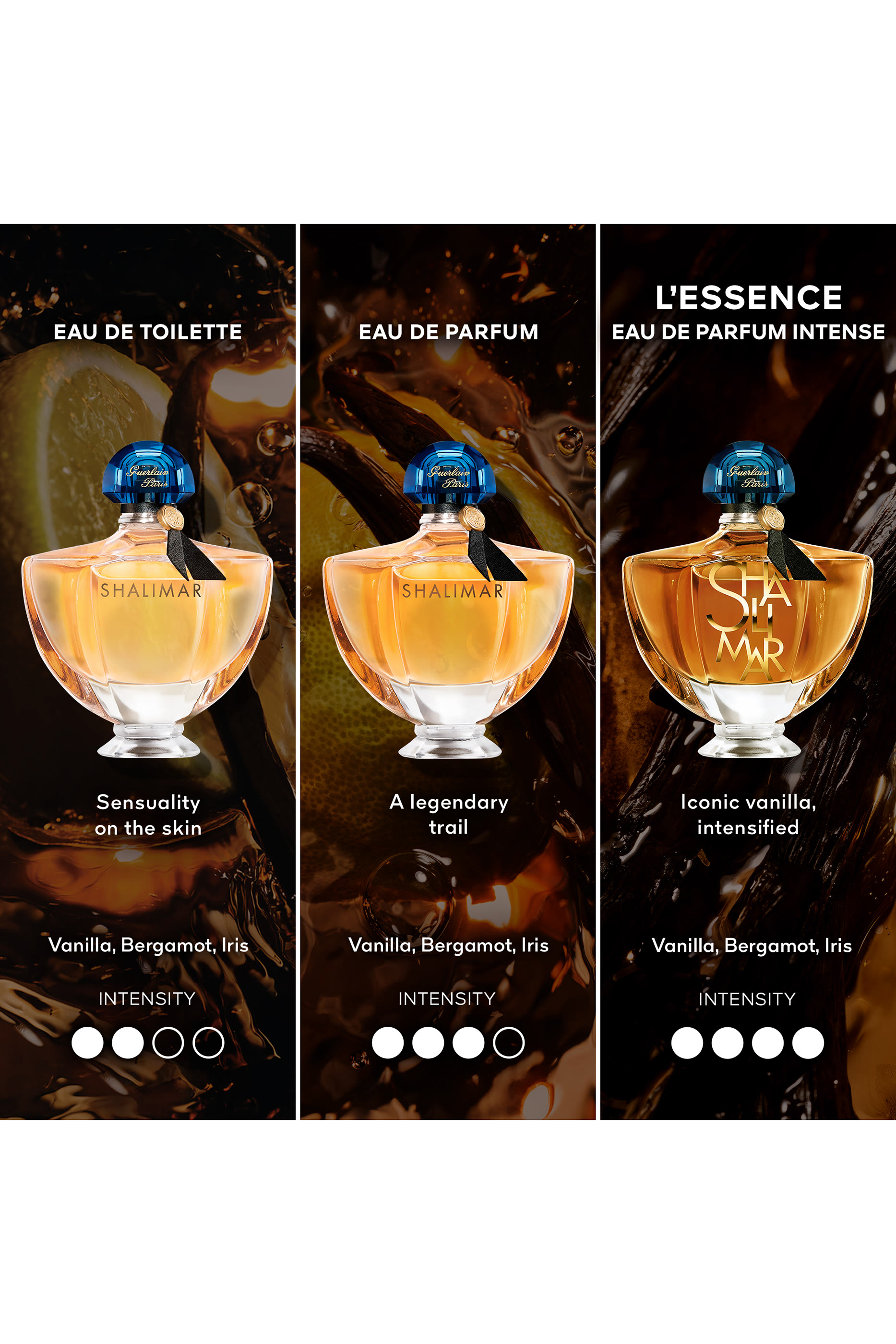 Shalimar L'Essence Eau de Parfum Intense 7