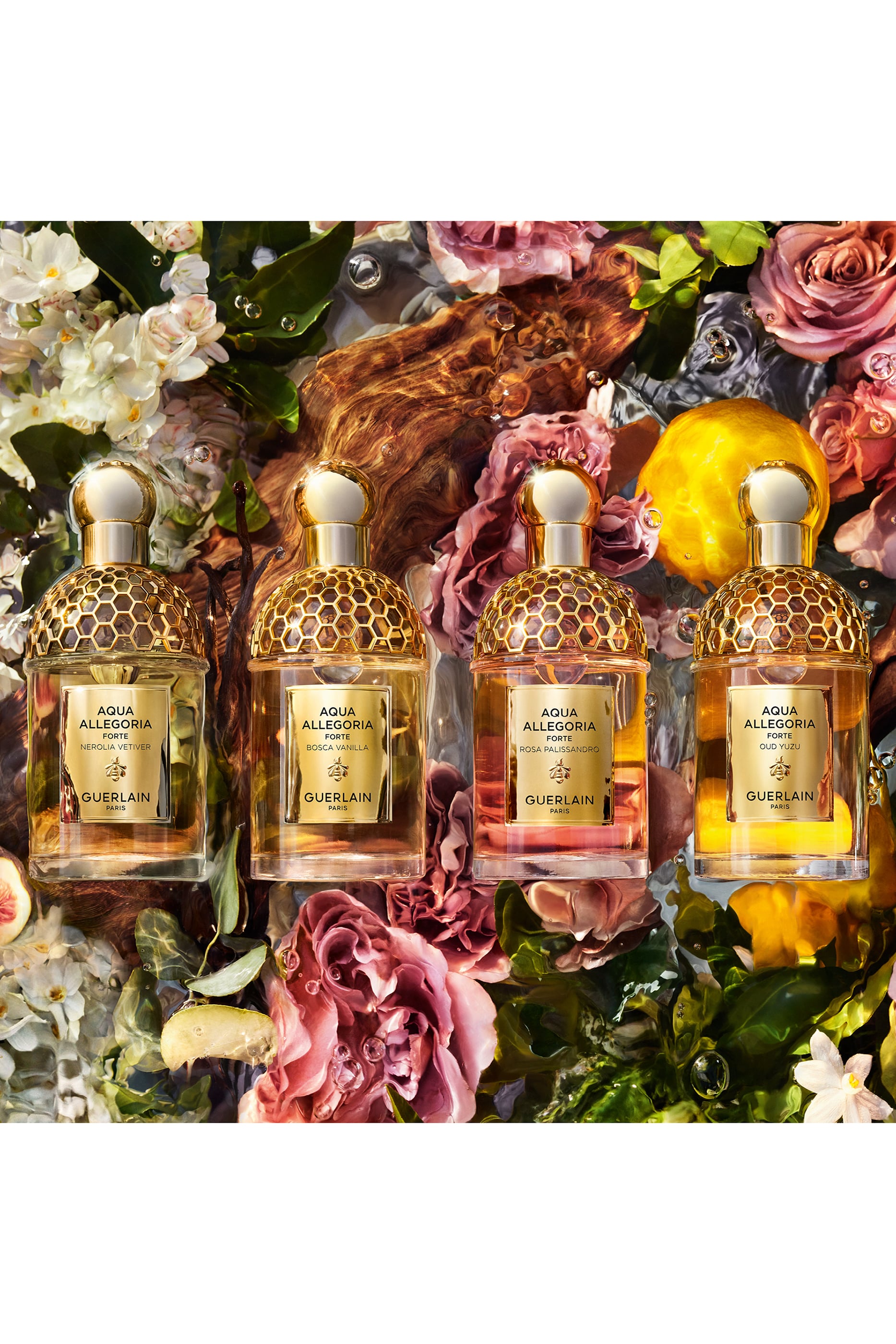 Aqua Allegoria Forte Rosa Palissandro Eau de Parfum 7