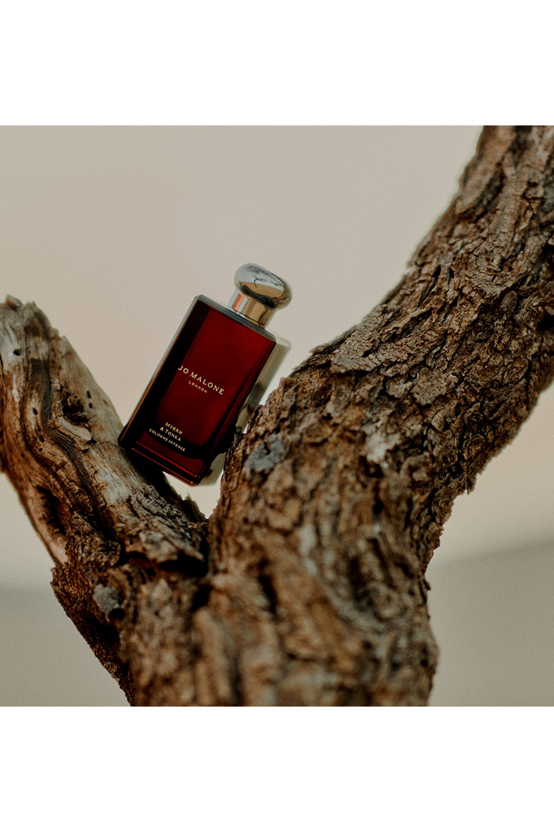 Myrrh & Tonka Cologne Intense Eau de Parfum 5