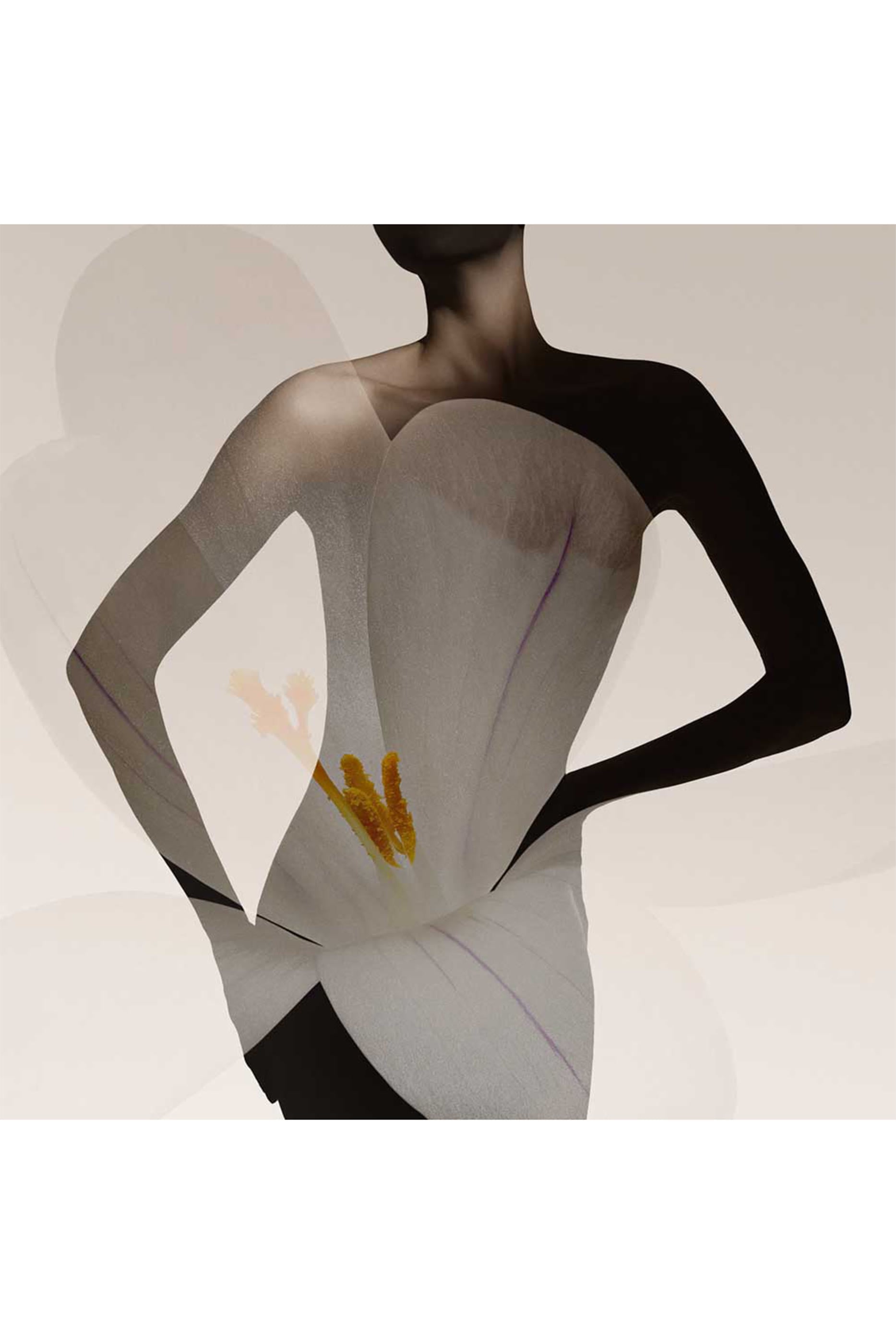 Priv&eacute; Oud Nacr&eacute; Eau de Parfum 6