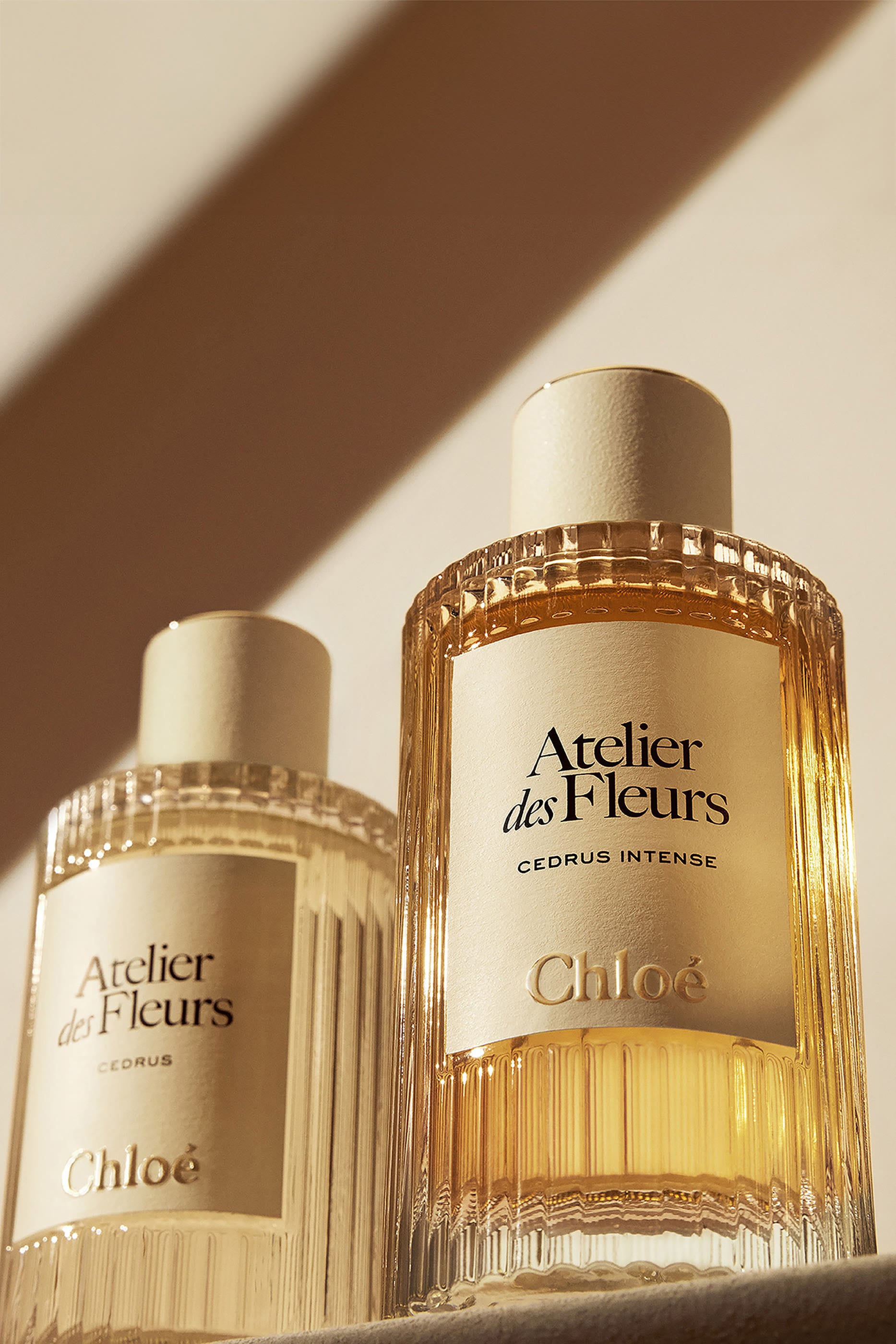 Atelier des Fleurs Cedrus Intense Eau de Parfum 7